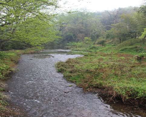 秋田江