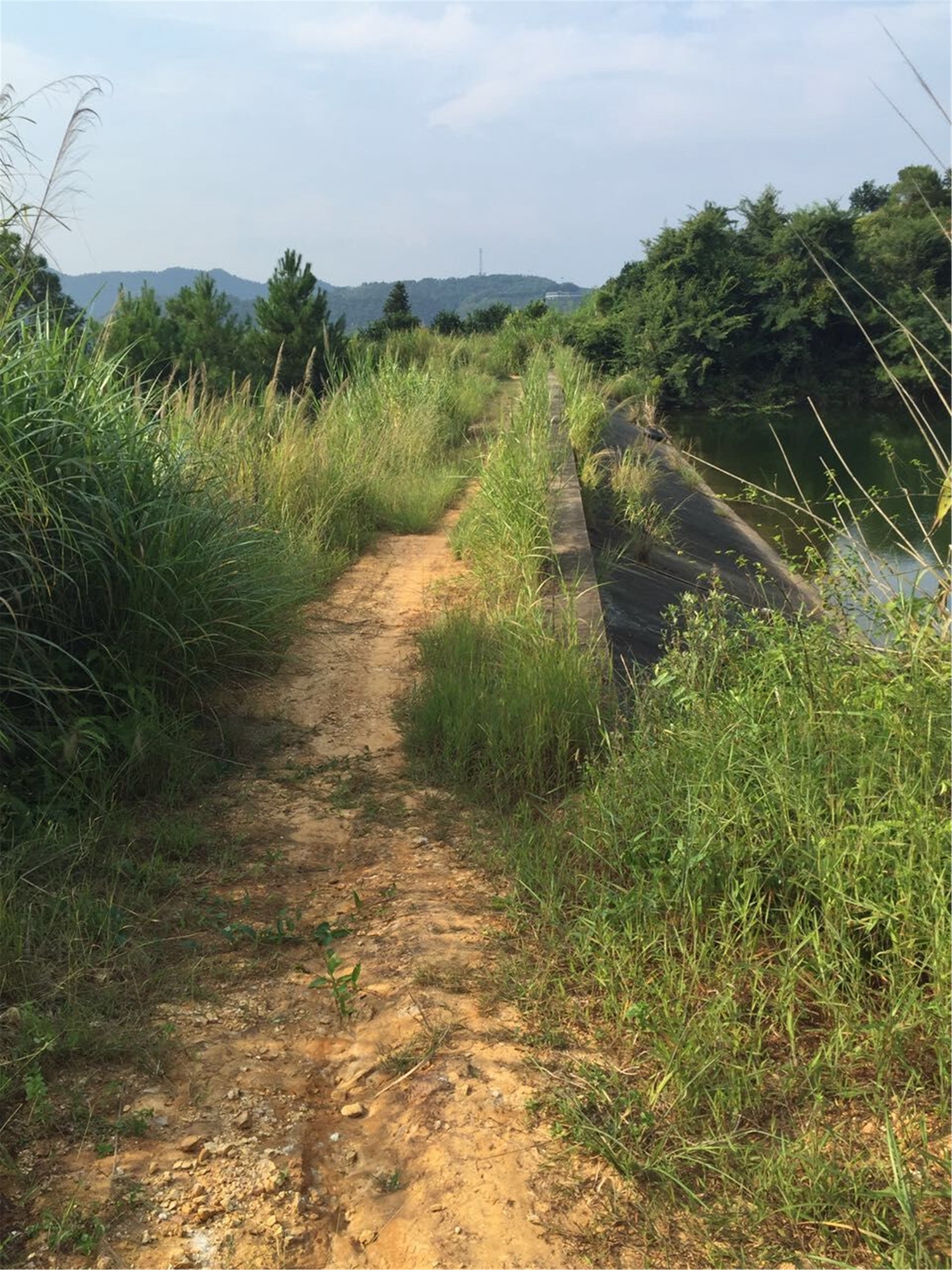 牵牛陂水库