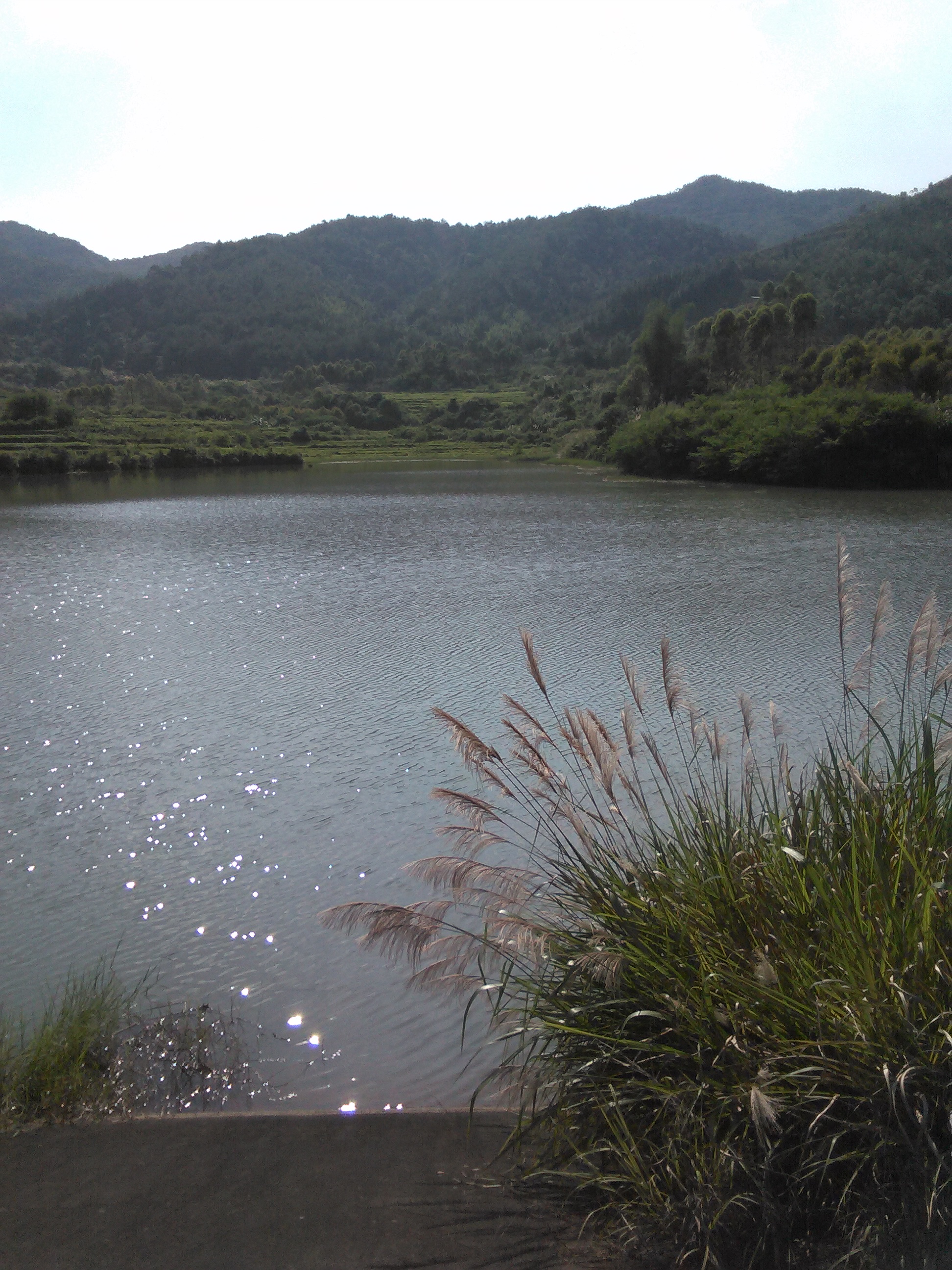 下岭岗水库