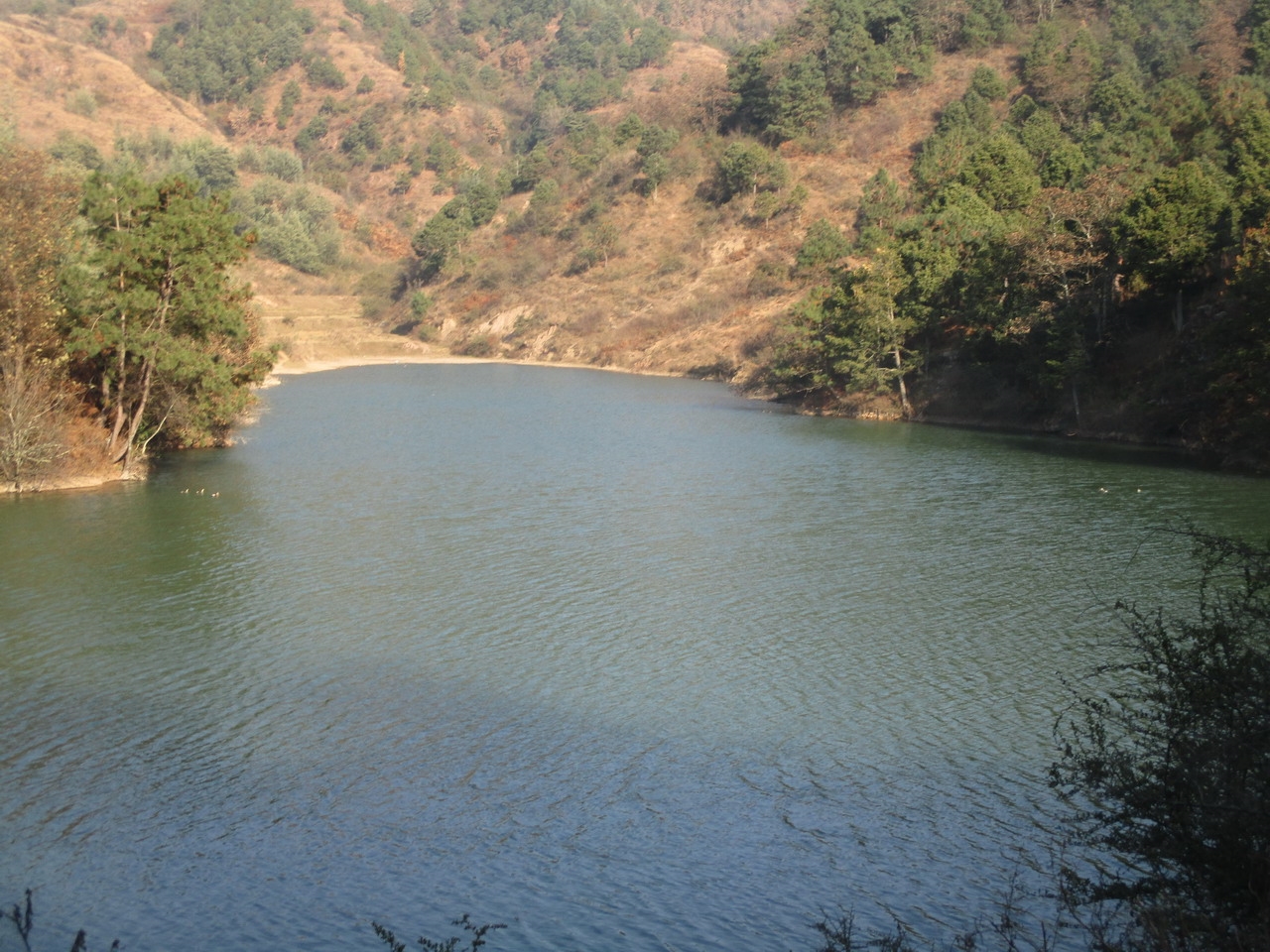 大秧田湾水库