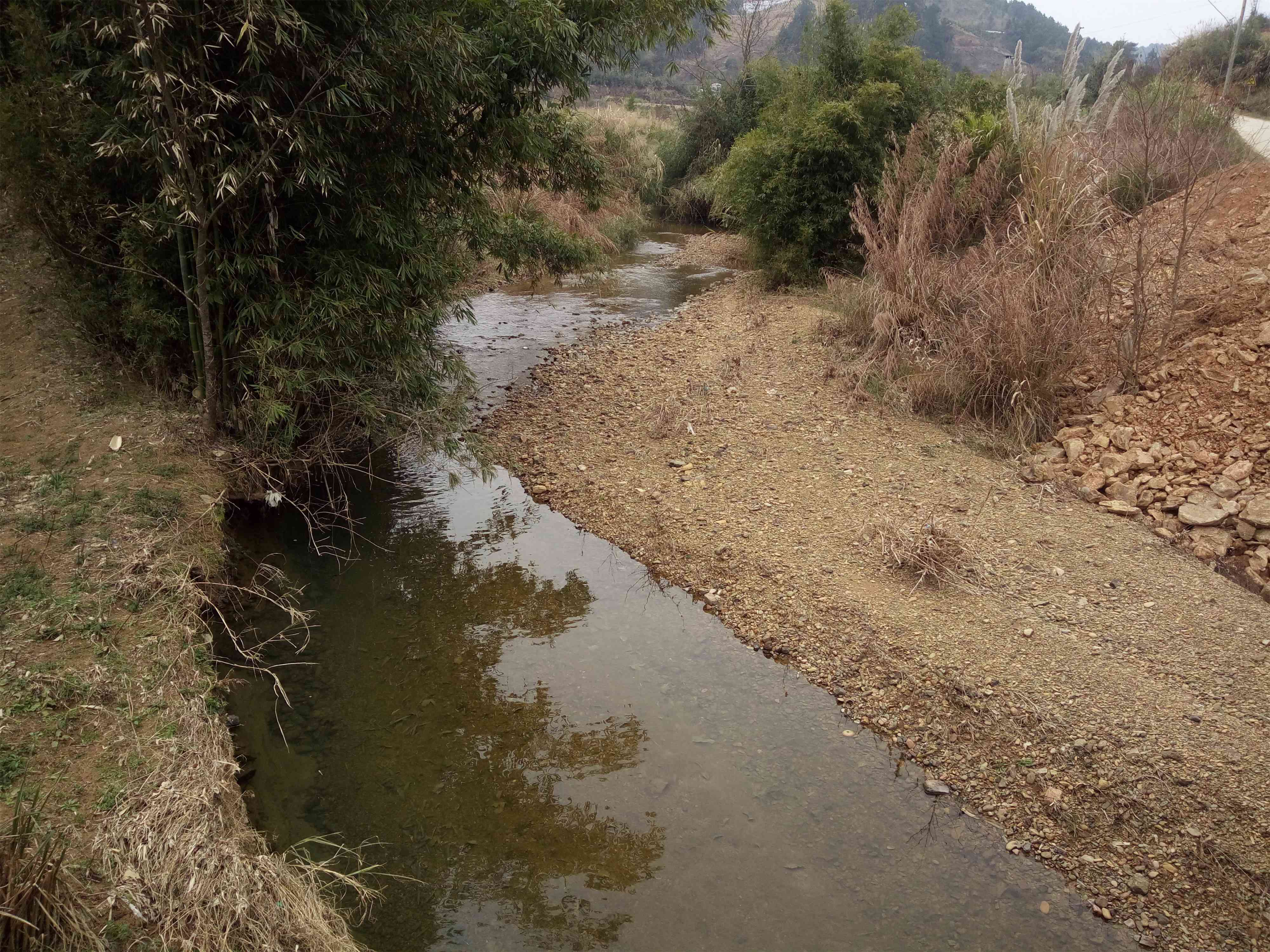 高岸河