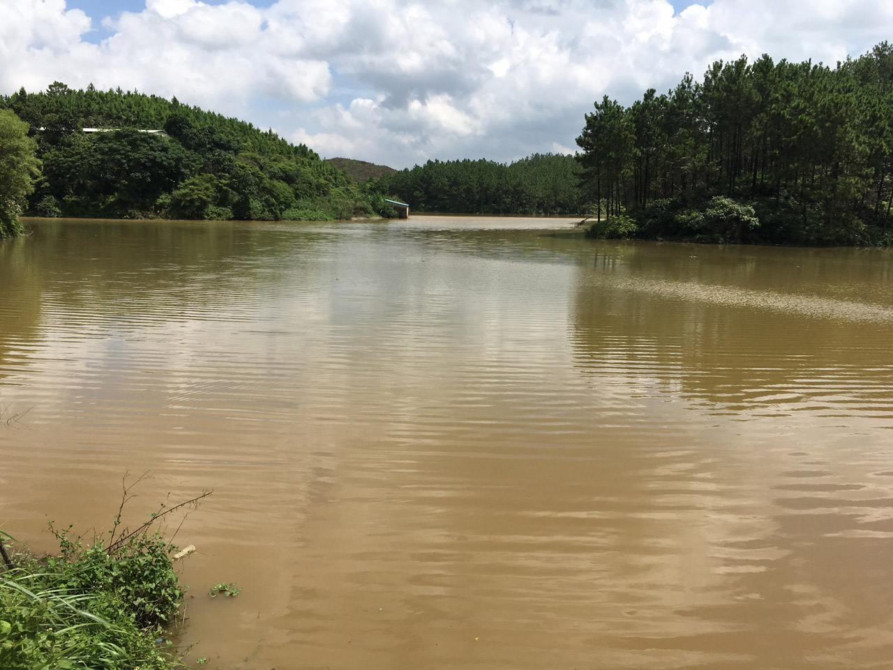 鸭仔陂水库