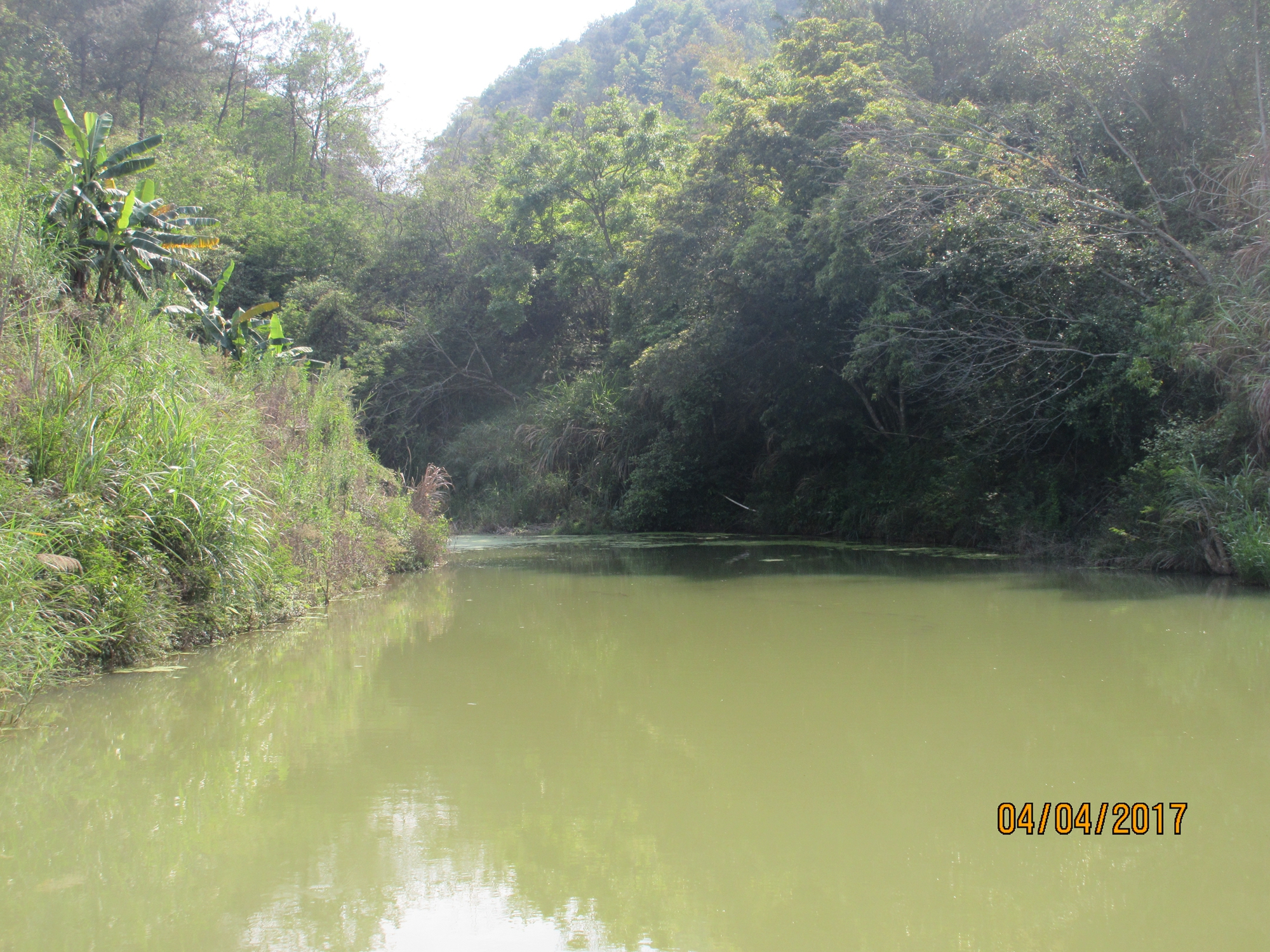 大岌背水库