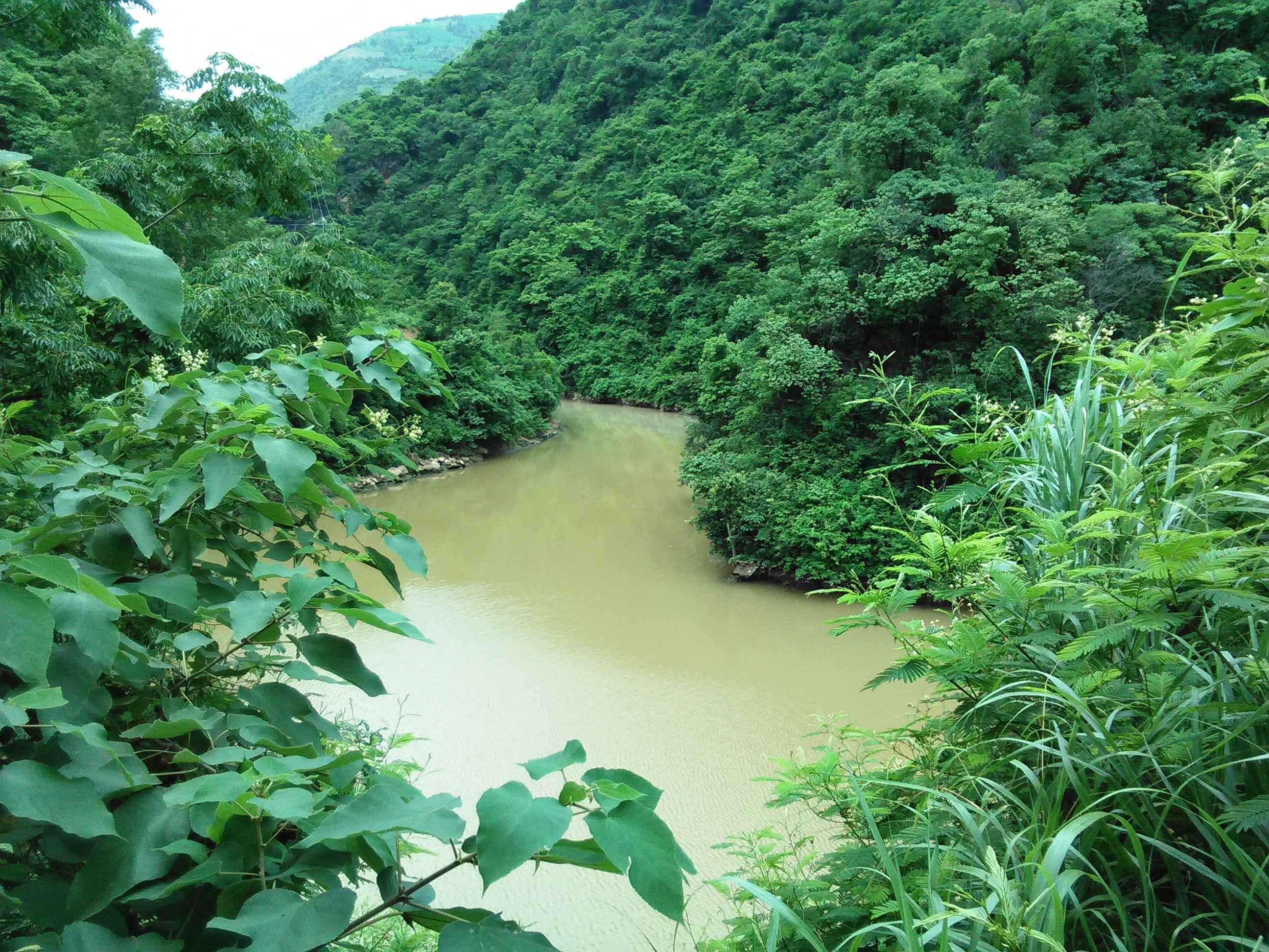 洛那河河口