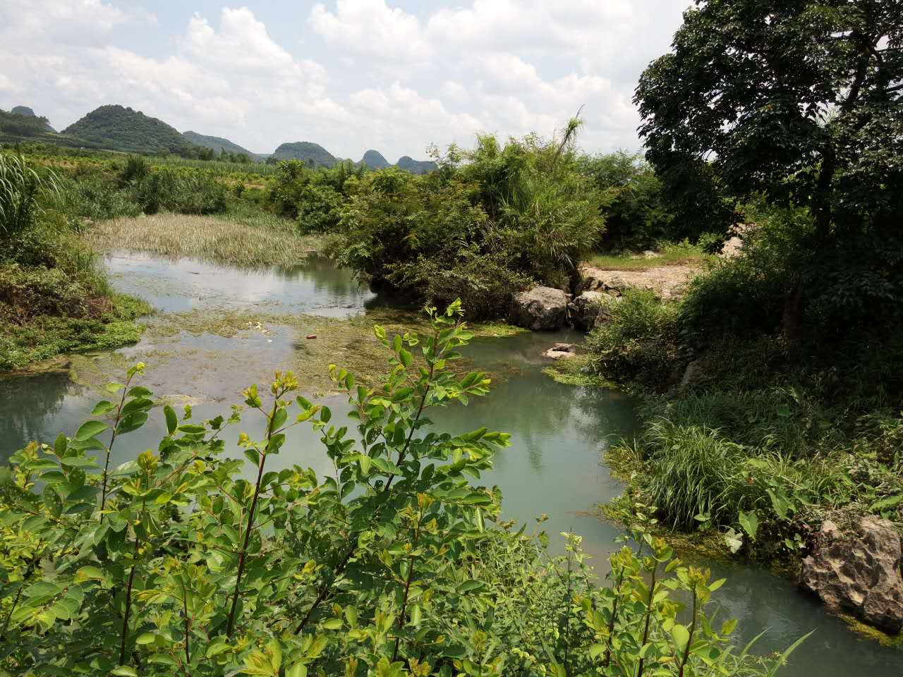 石凉闷