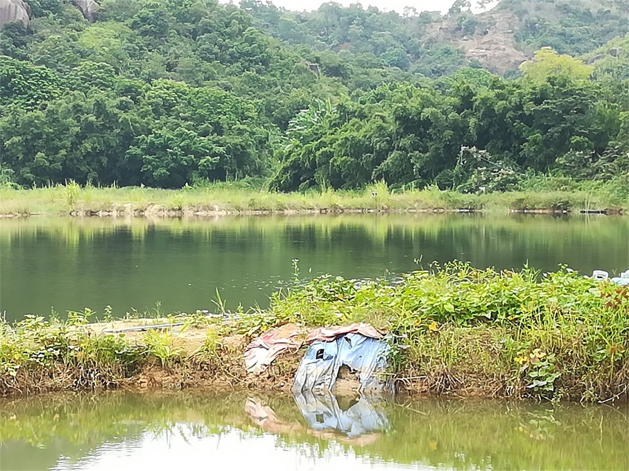 大岭水库