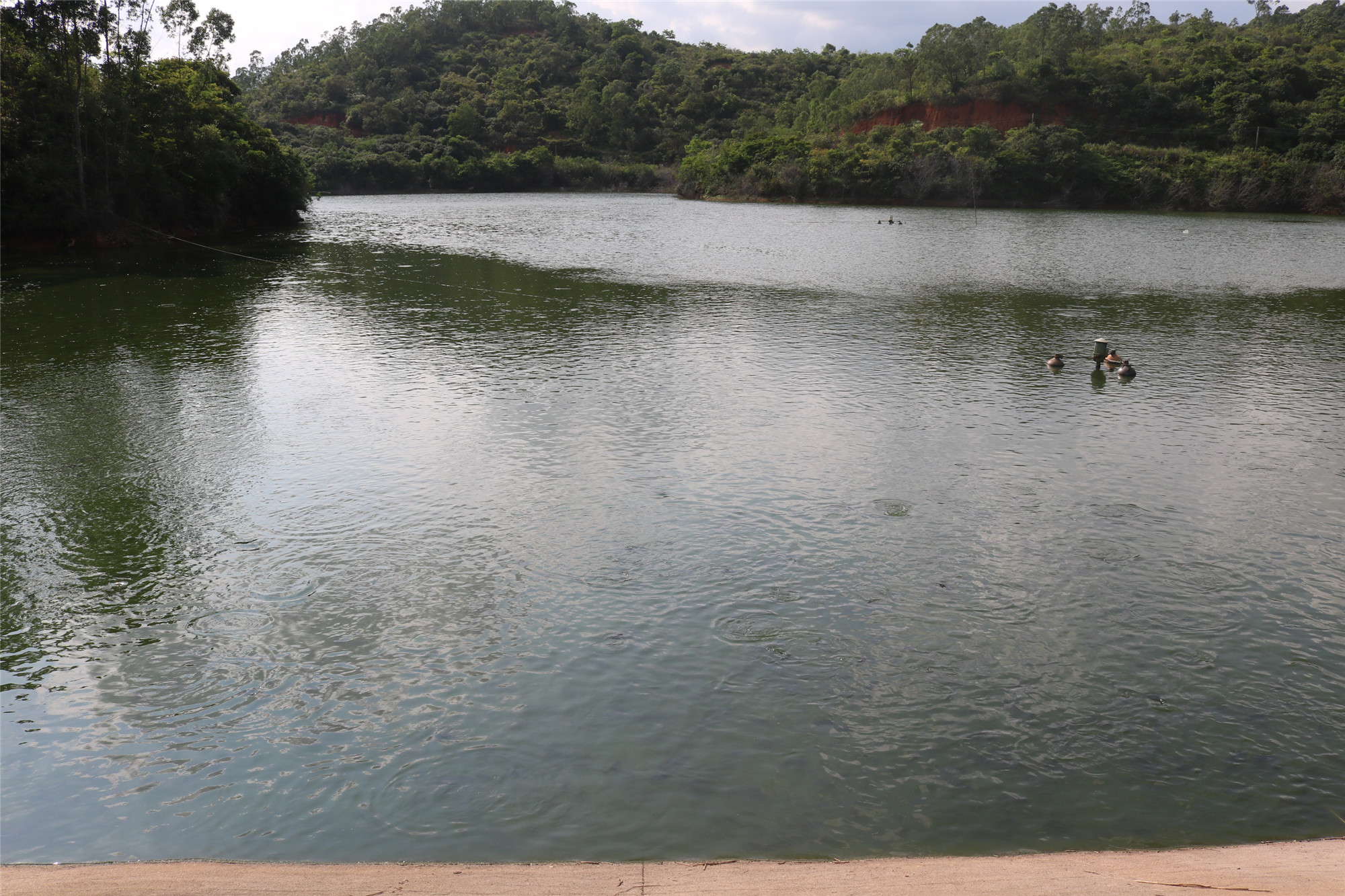 山鸡窿水库