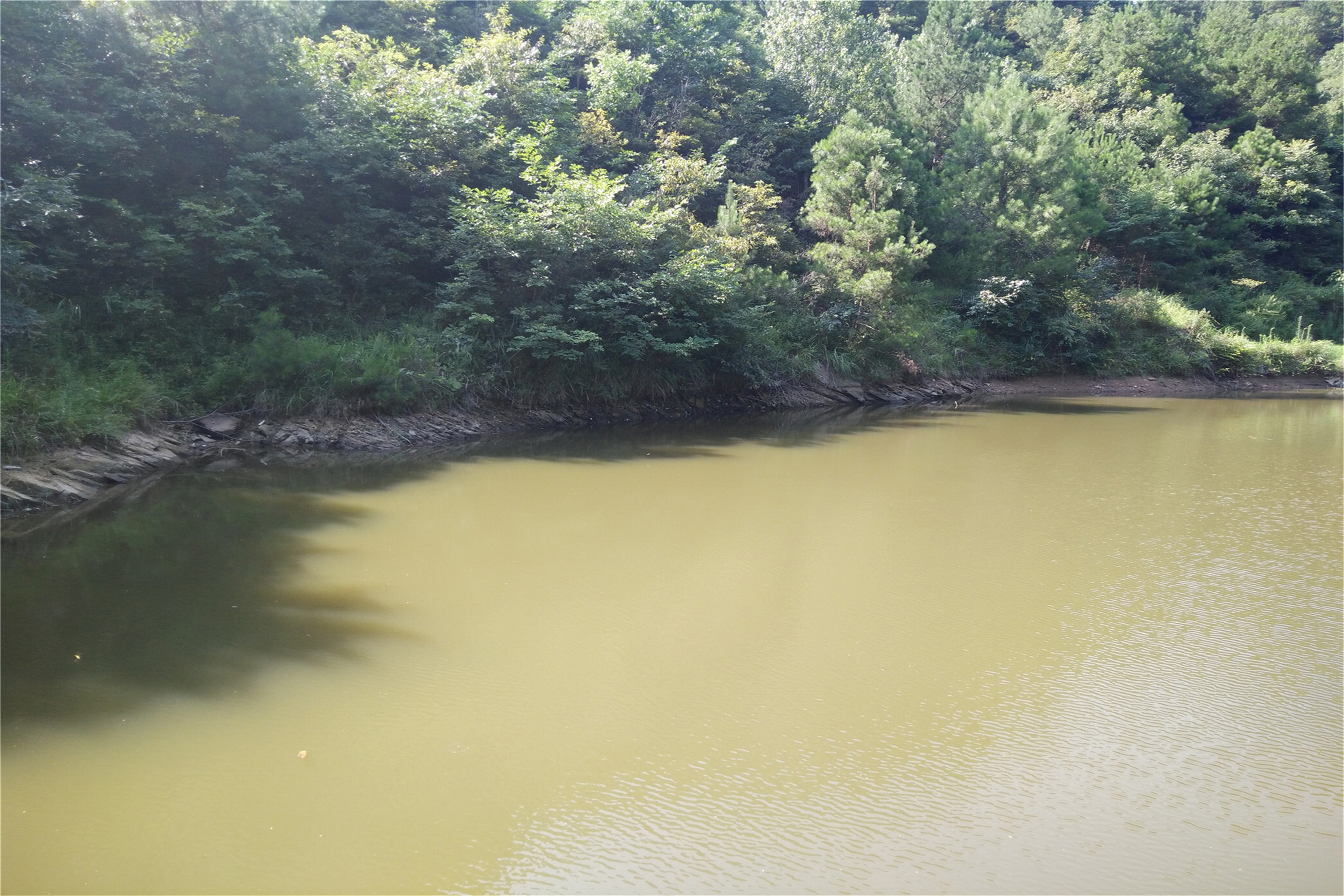 东沟水库