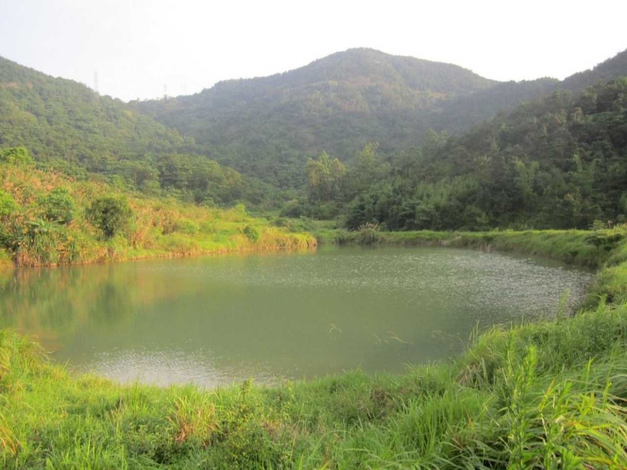 里山水库