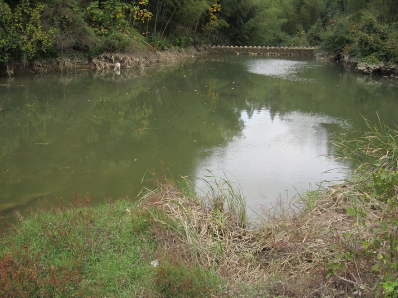 下连山水库