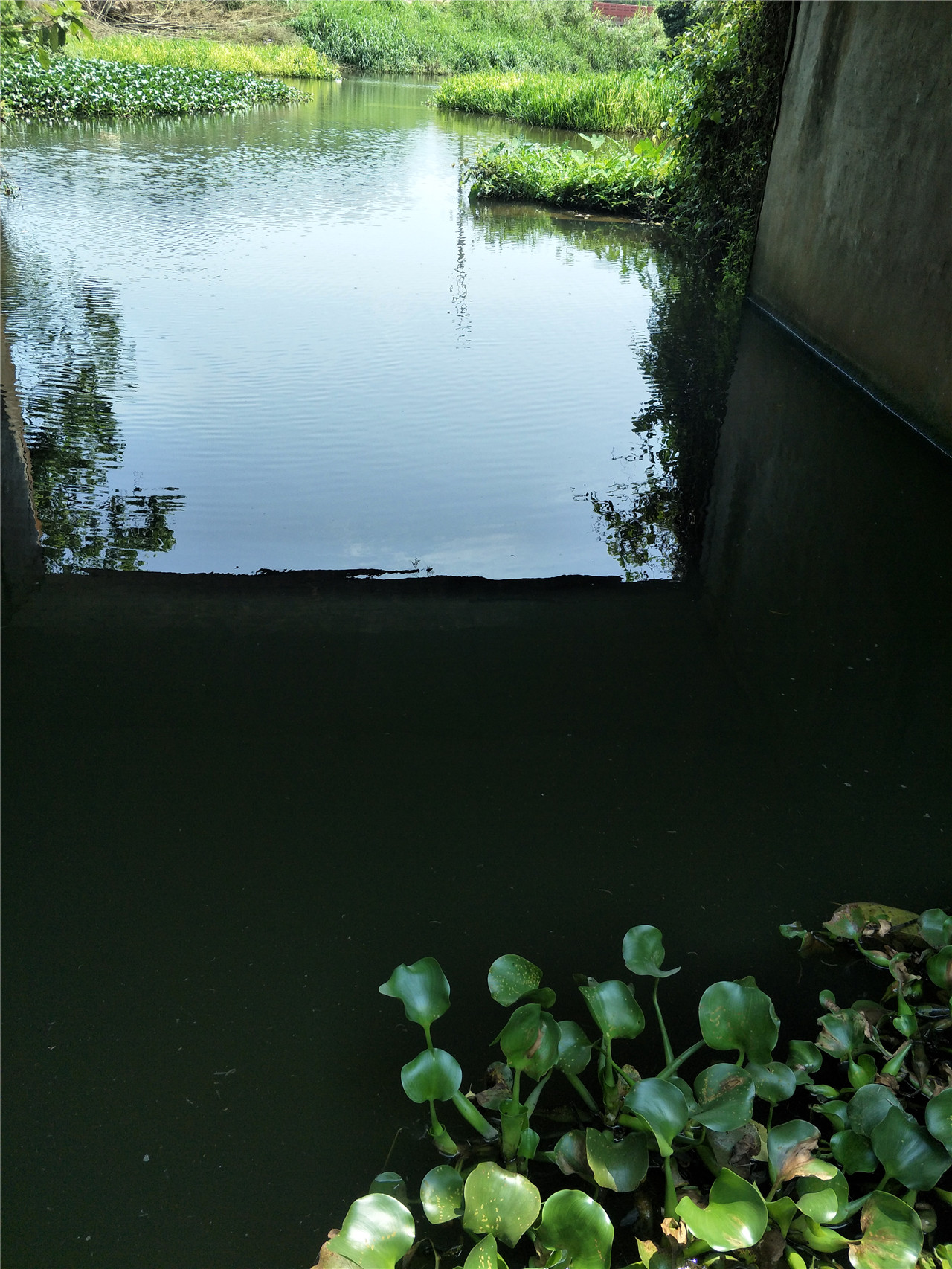 礼纪水