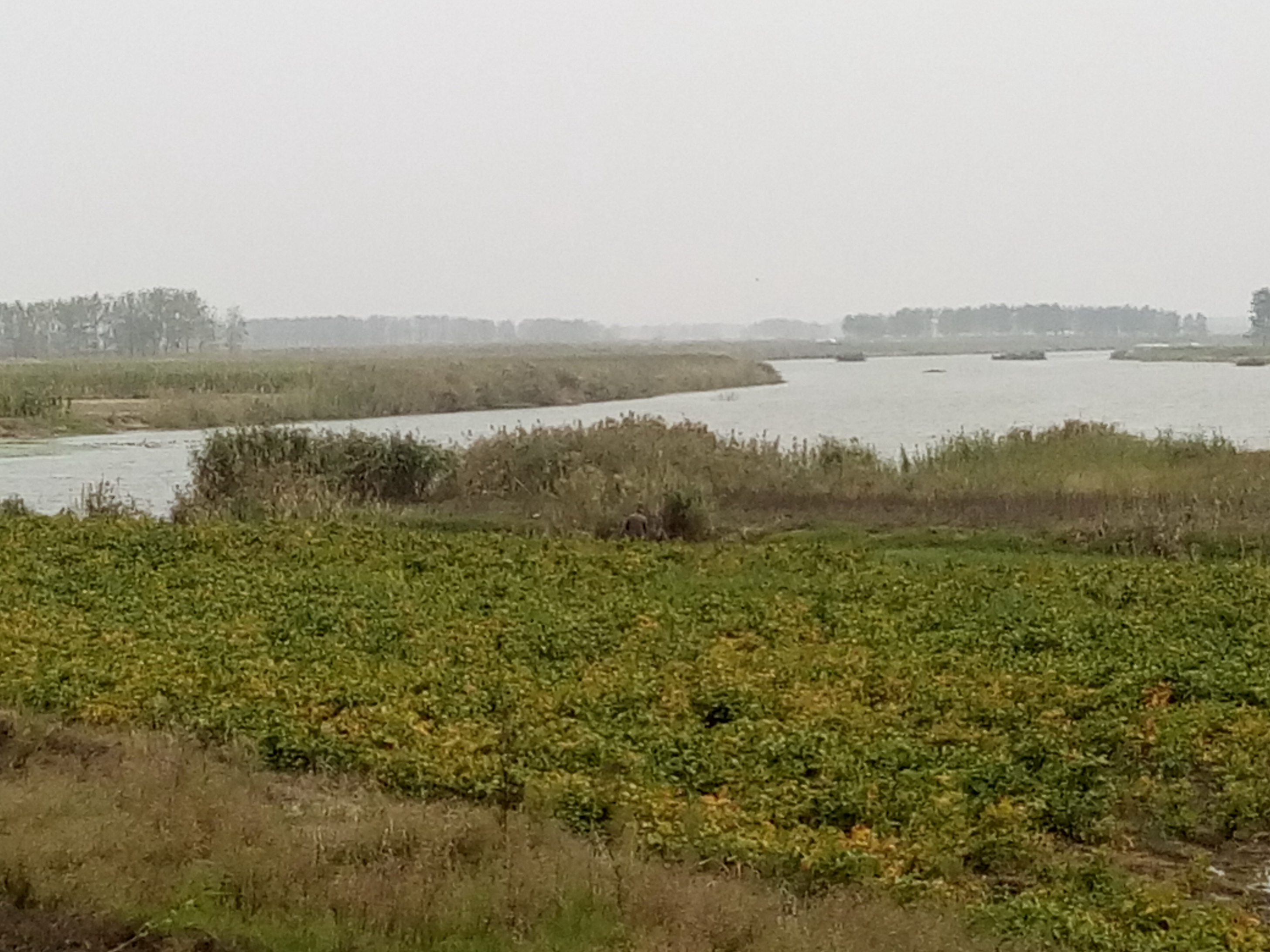 南沱河河口