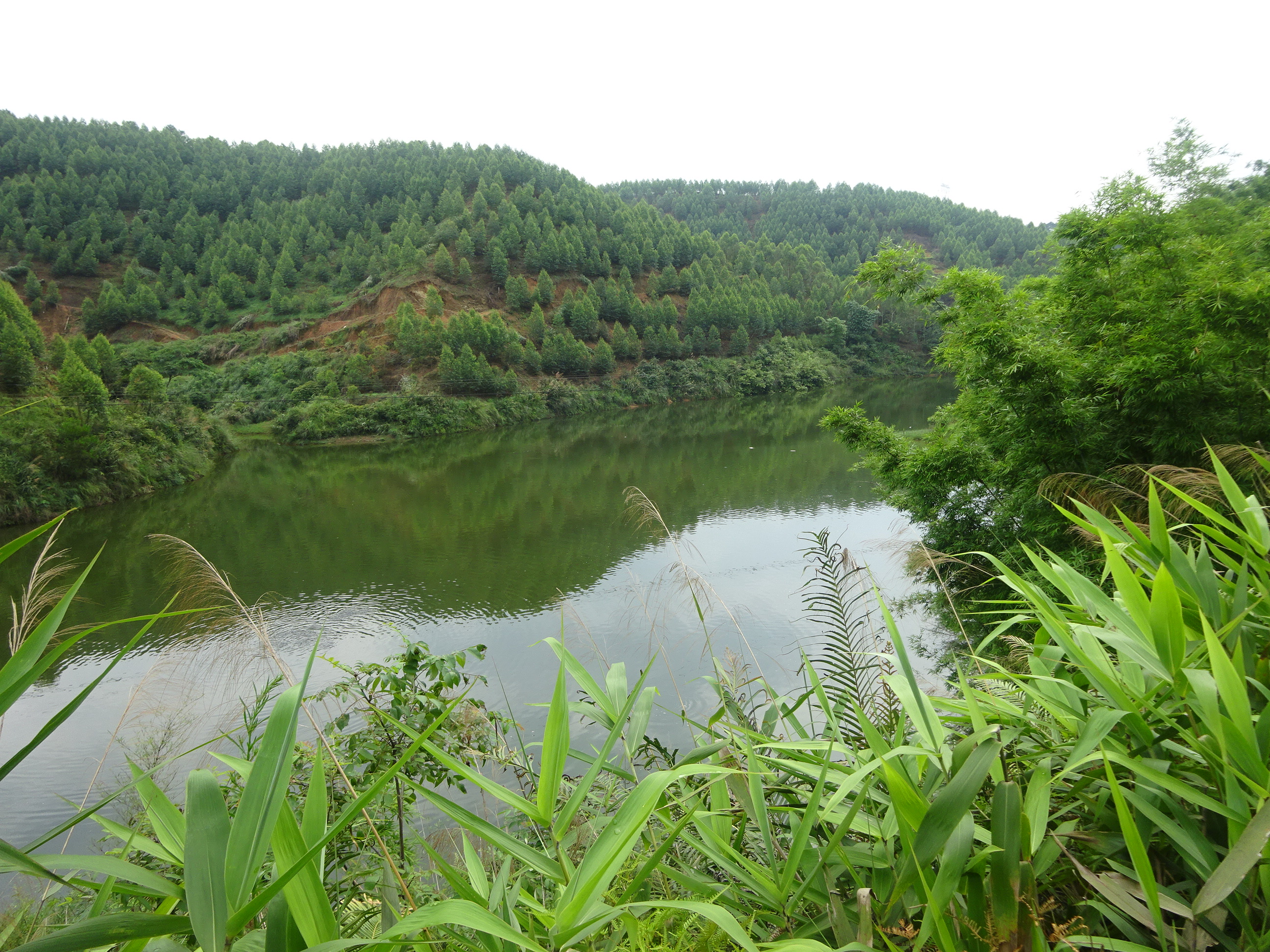 维河水库