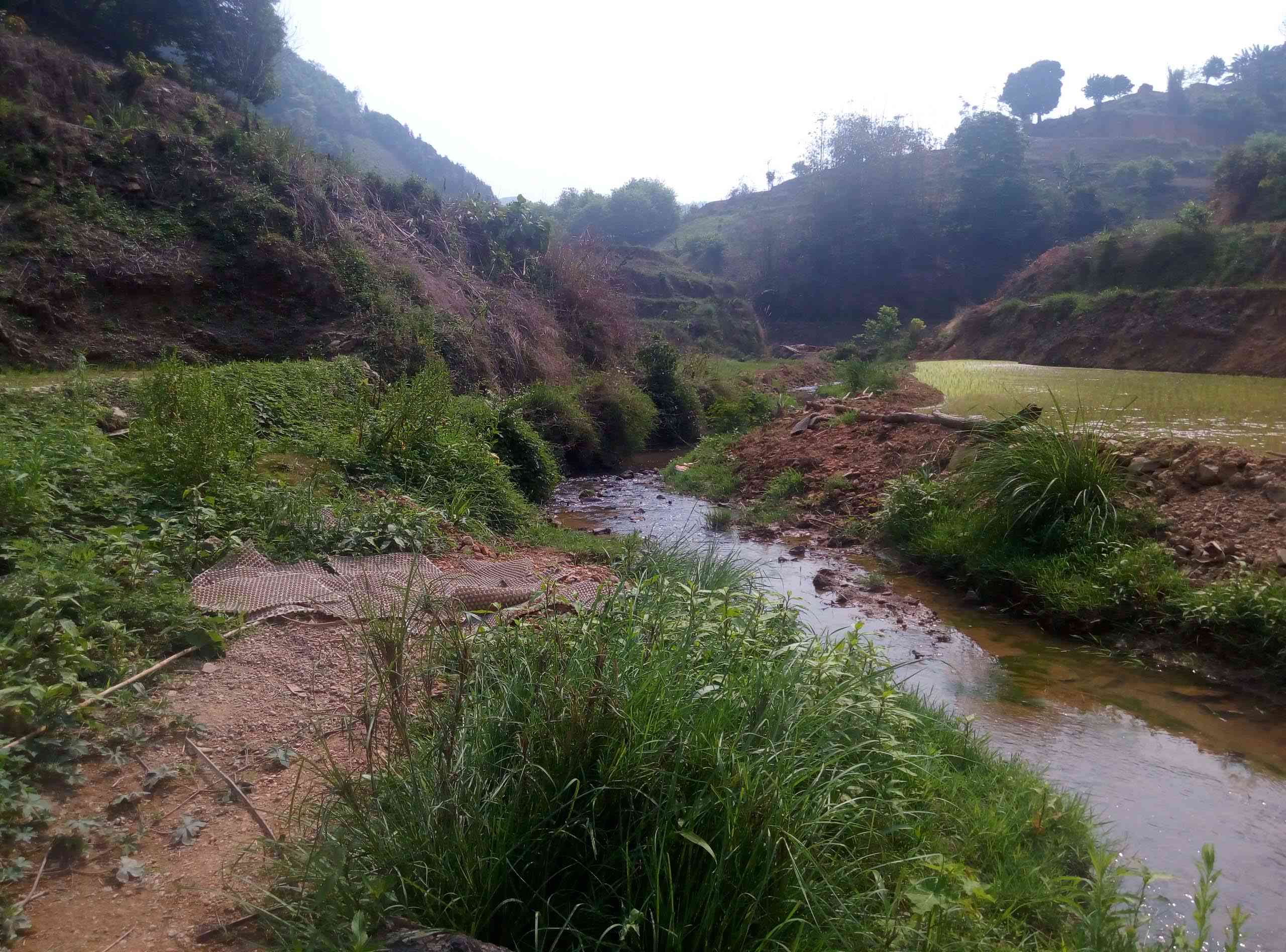 那坚河