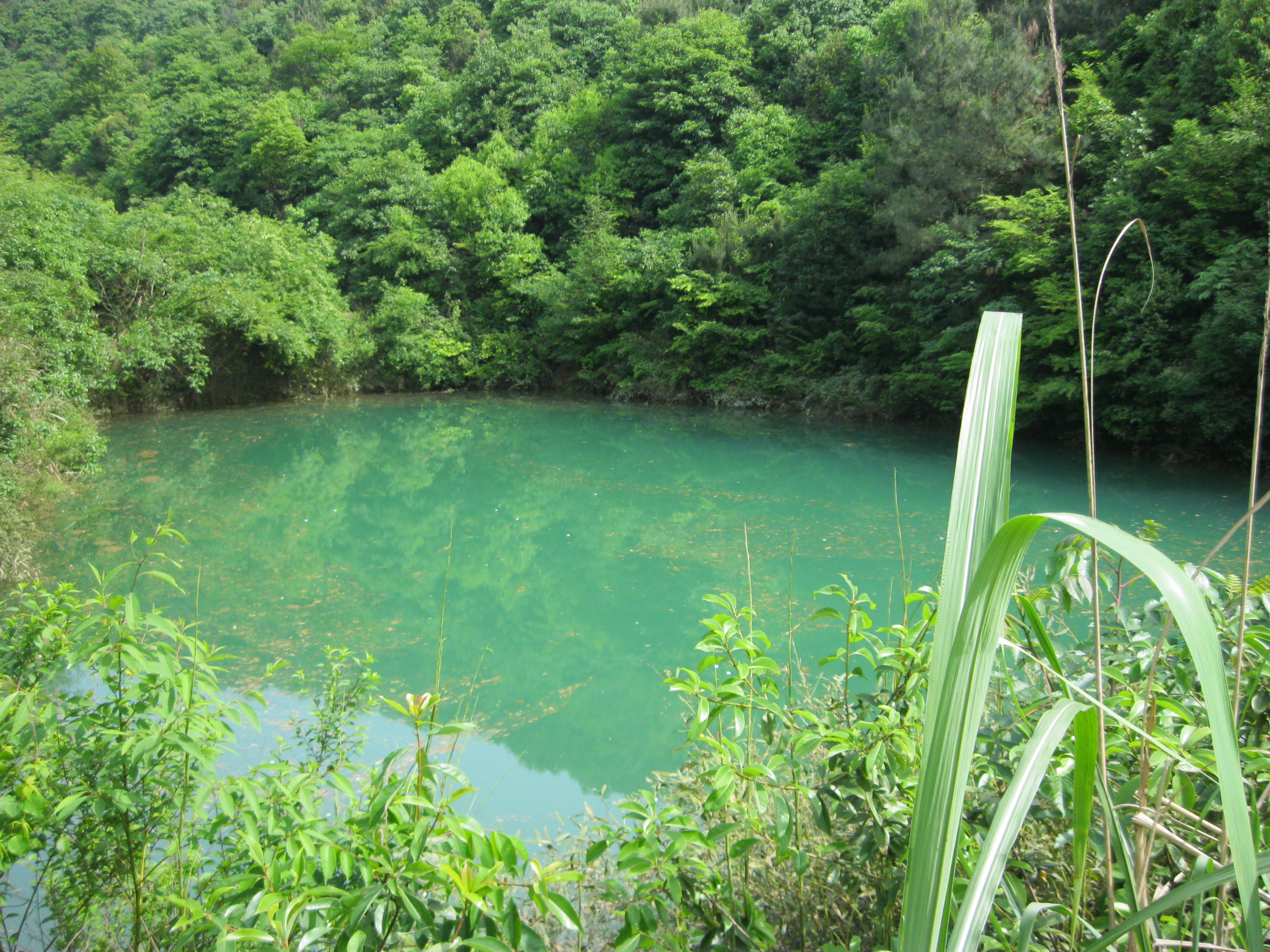 勤乐村梧桐坞水库