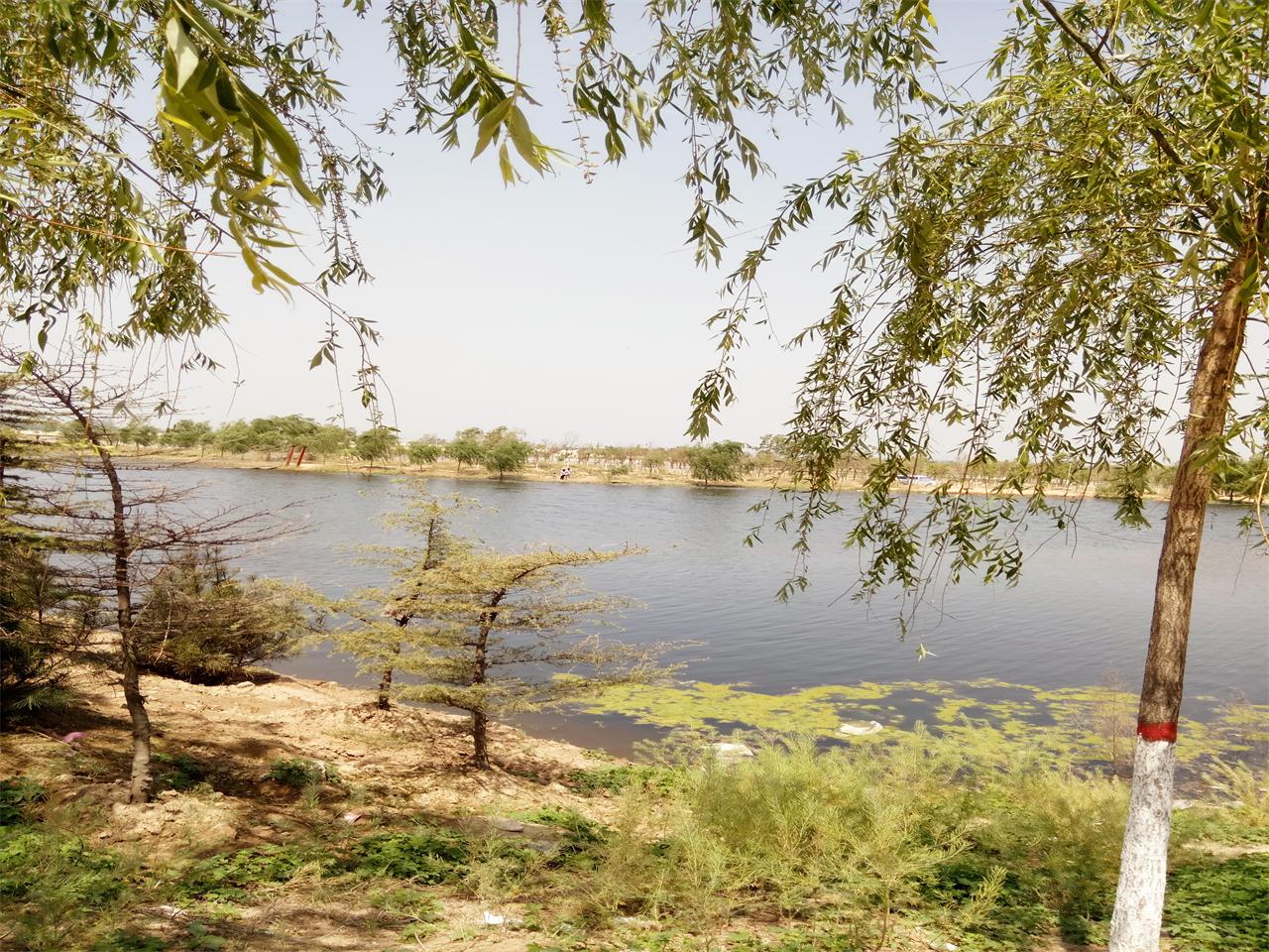 鸣沙湖