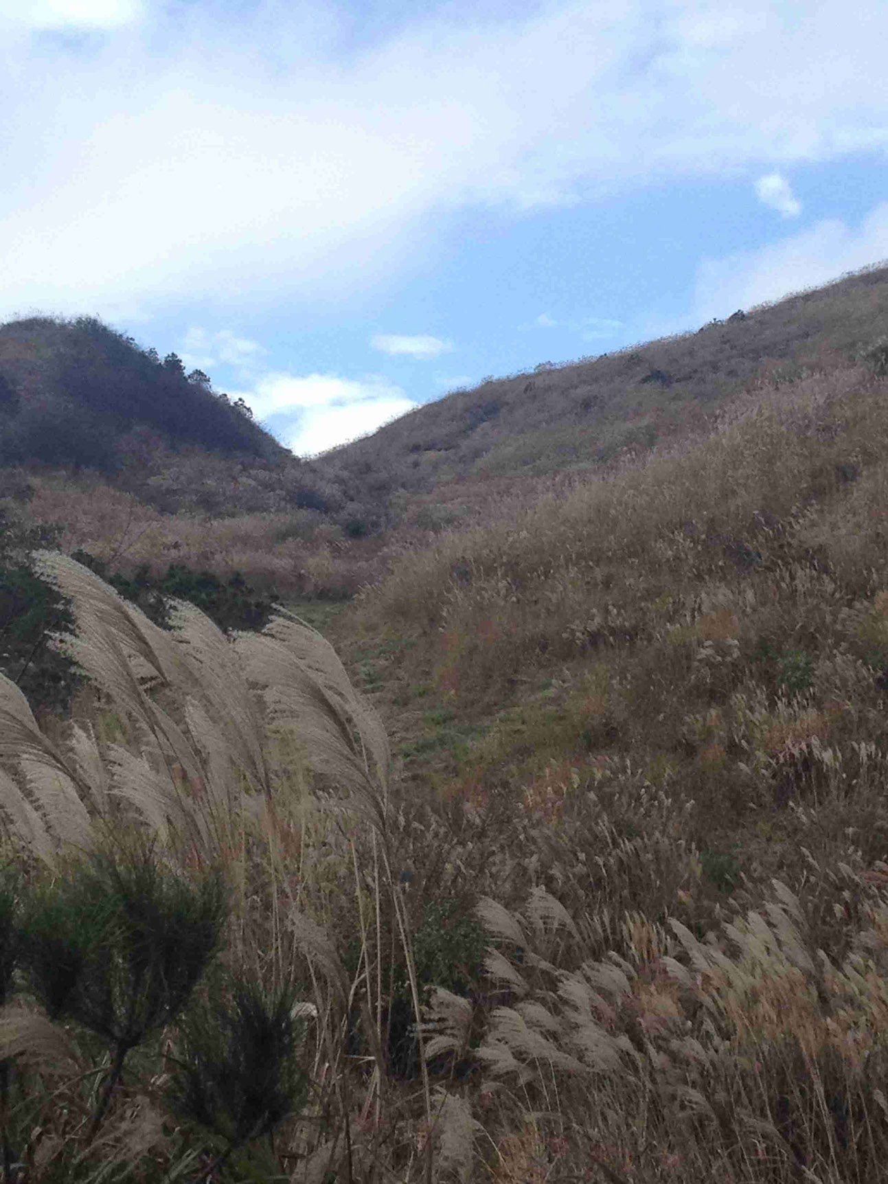 齐云山高山草原