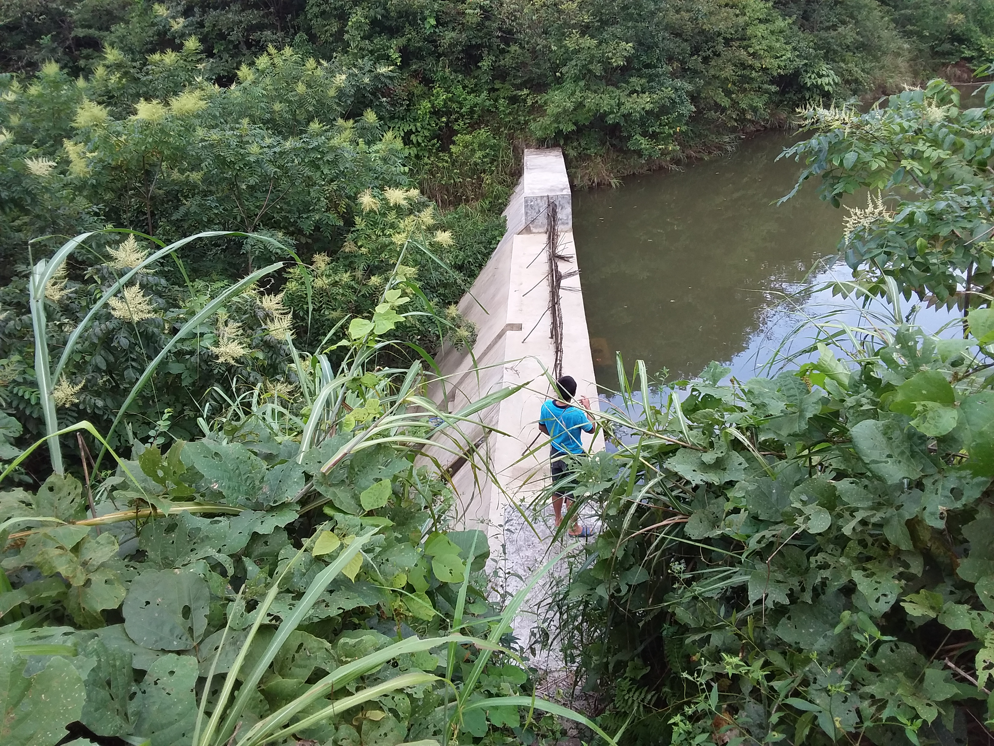 雾柳水库