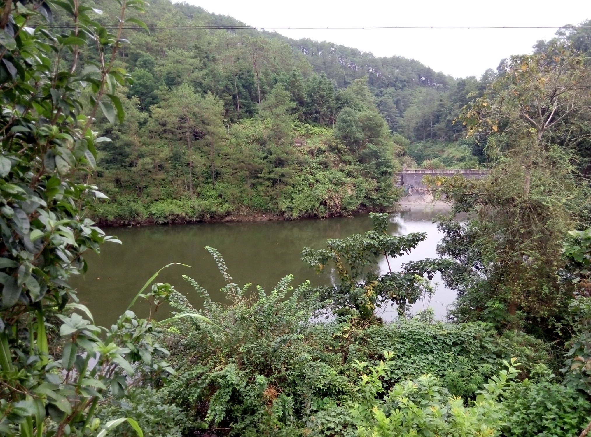 仙湖村大水坑水库