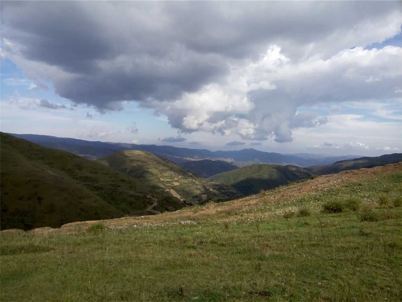 武山县白草山大草原风景区