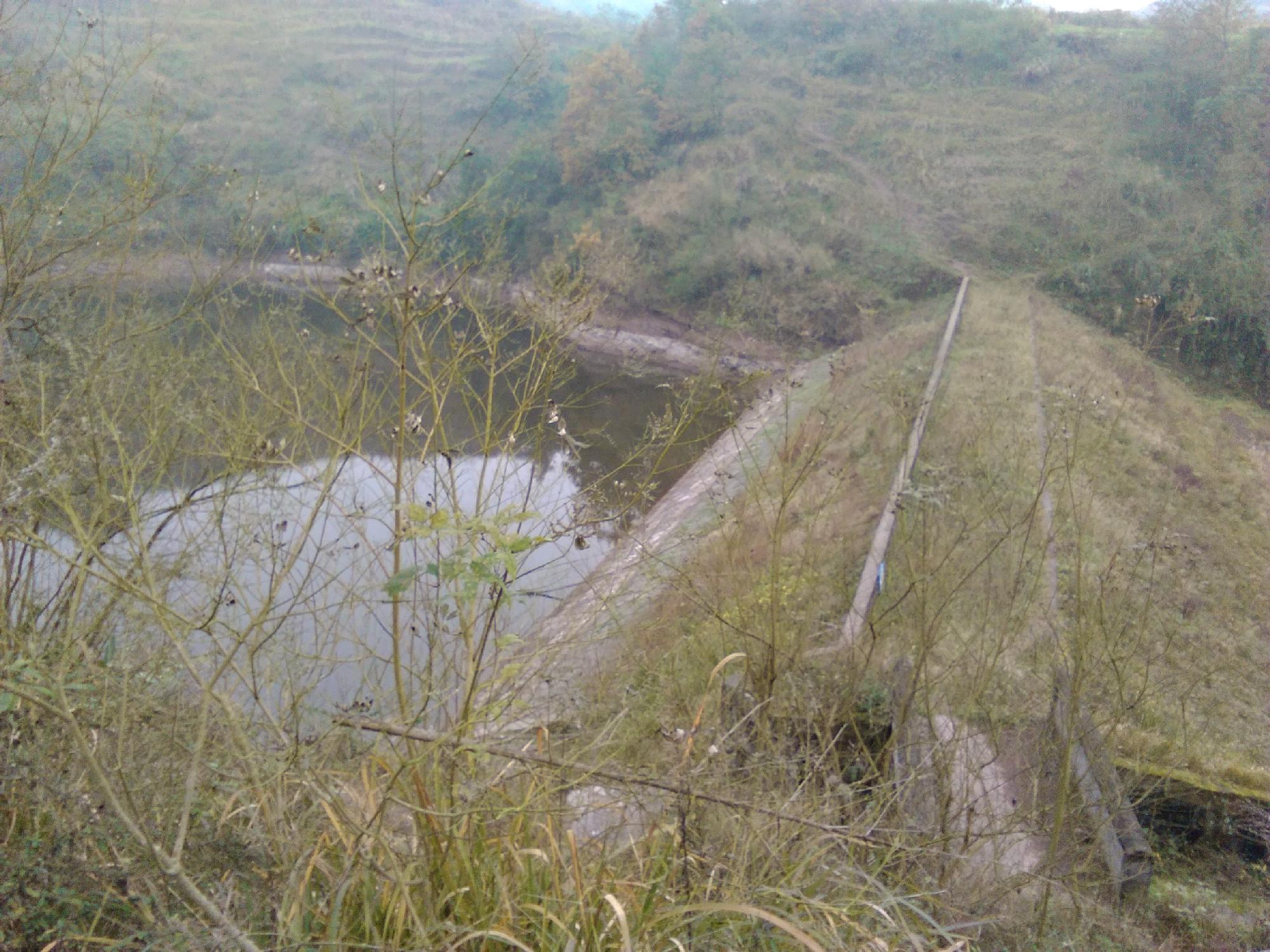 野猫冲水库