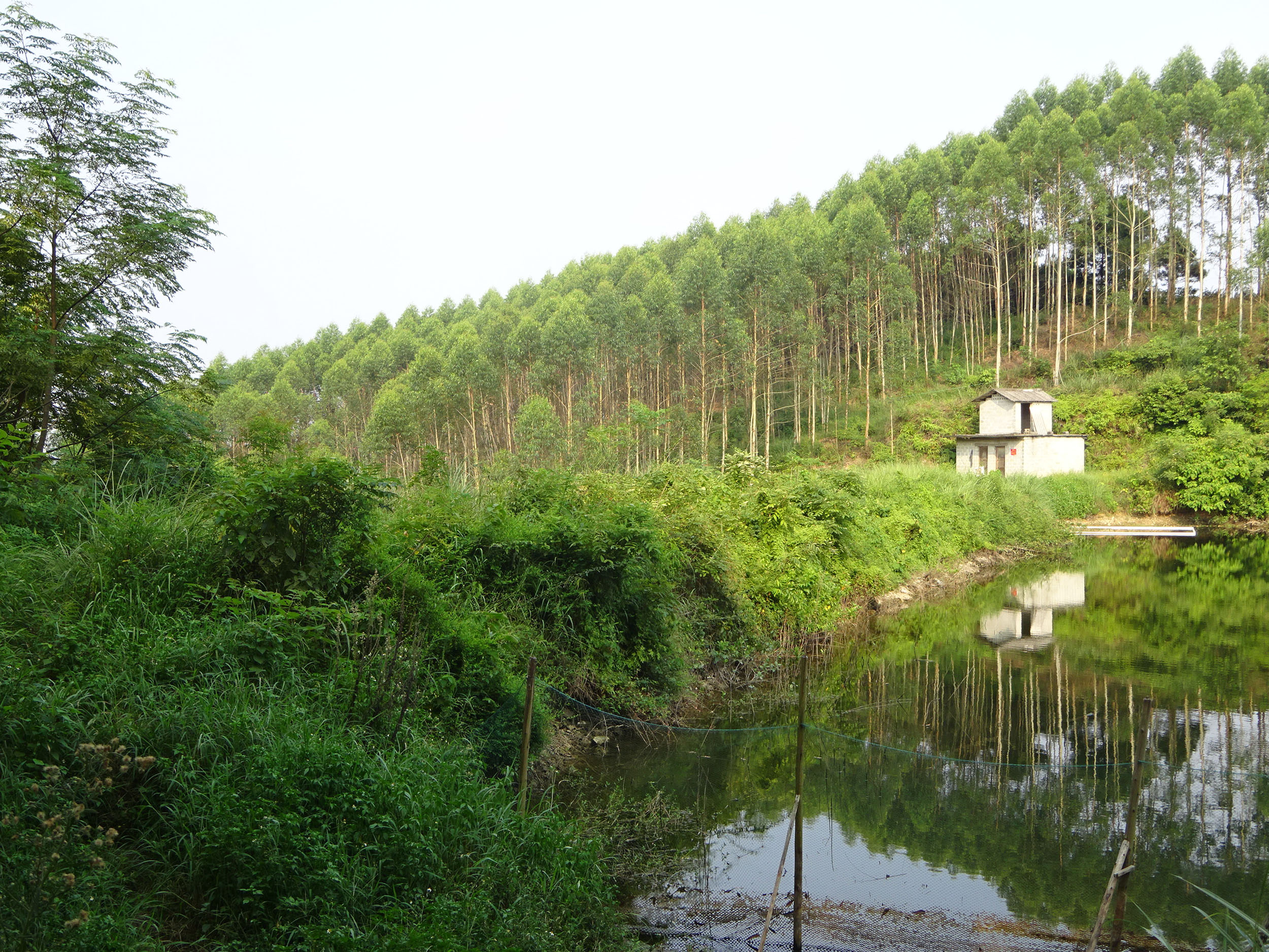 六横水库