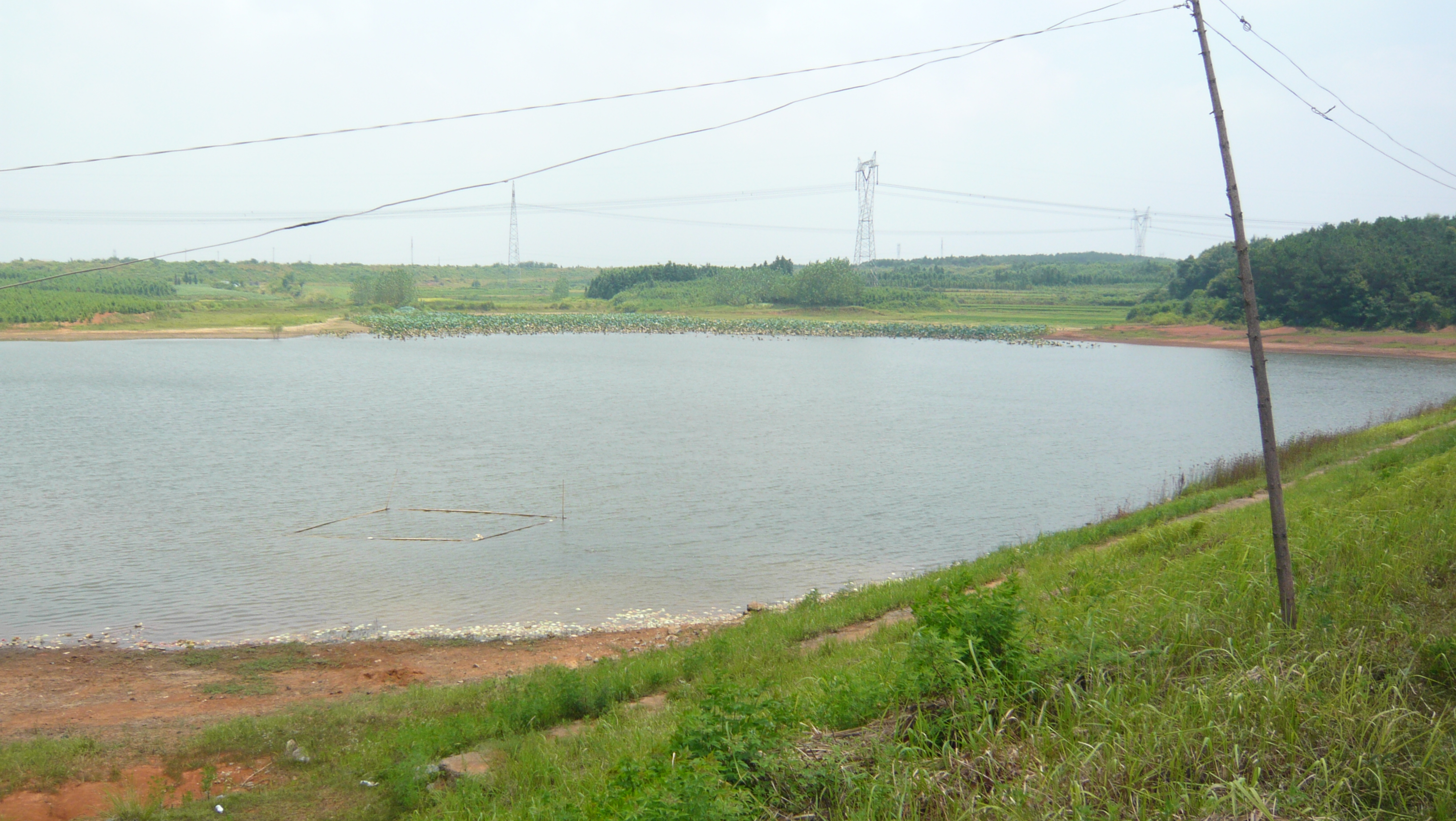 金鸡山水库