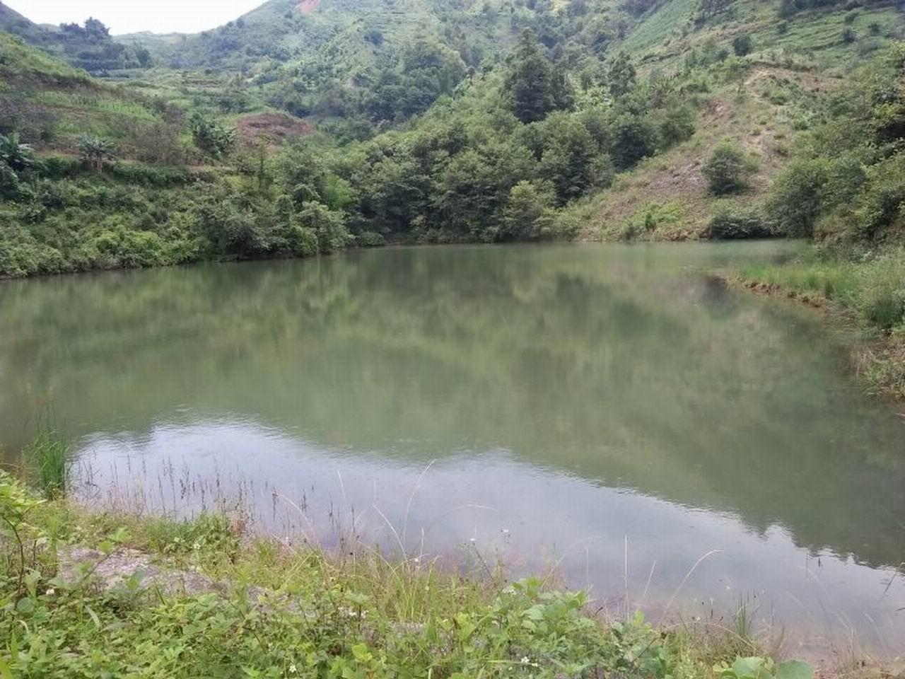 芦子场水库