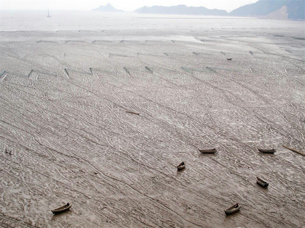 霞浦涵江滩涂