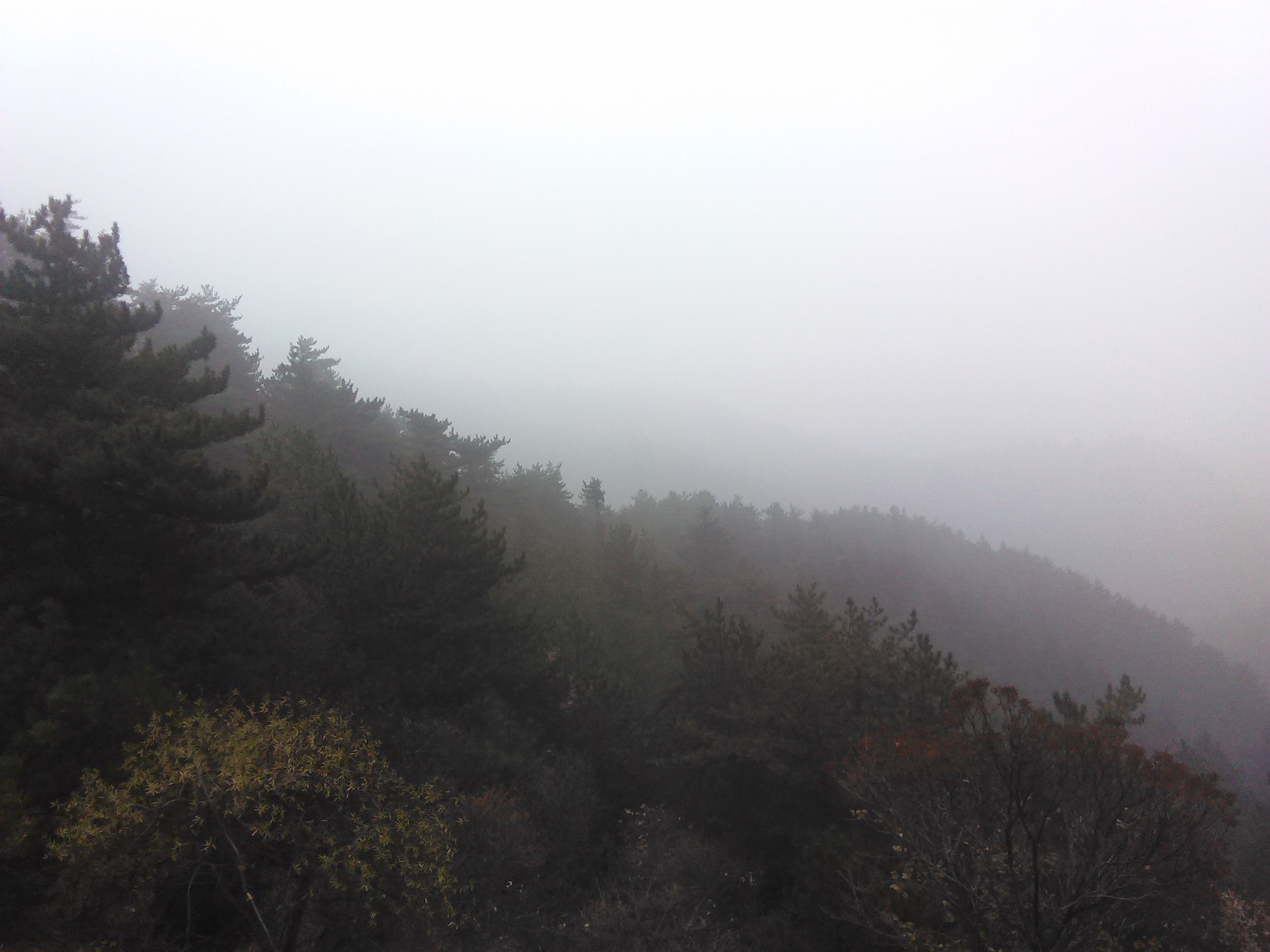 超山风景区