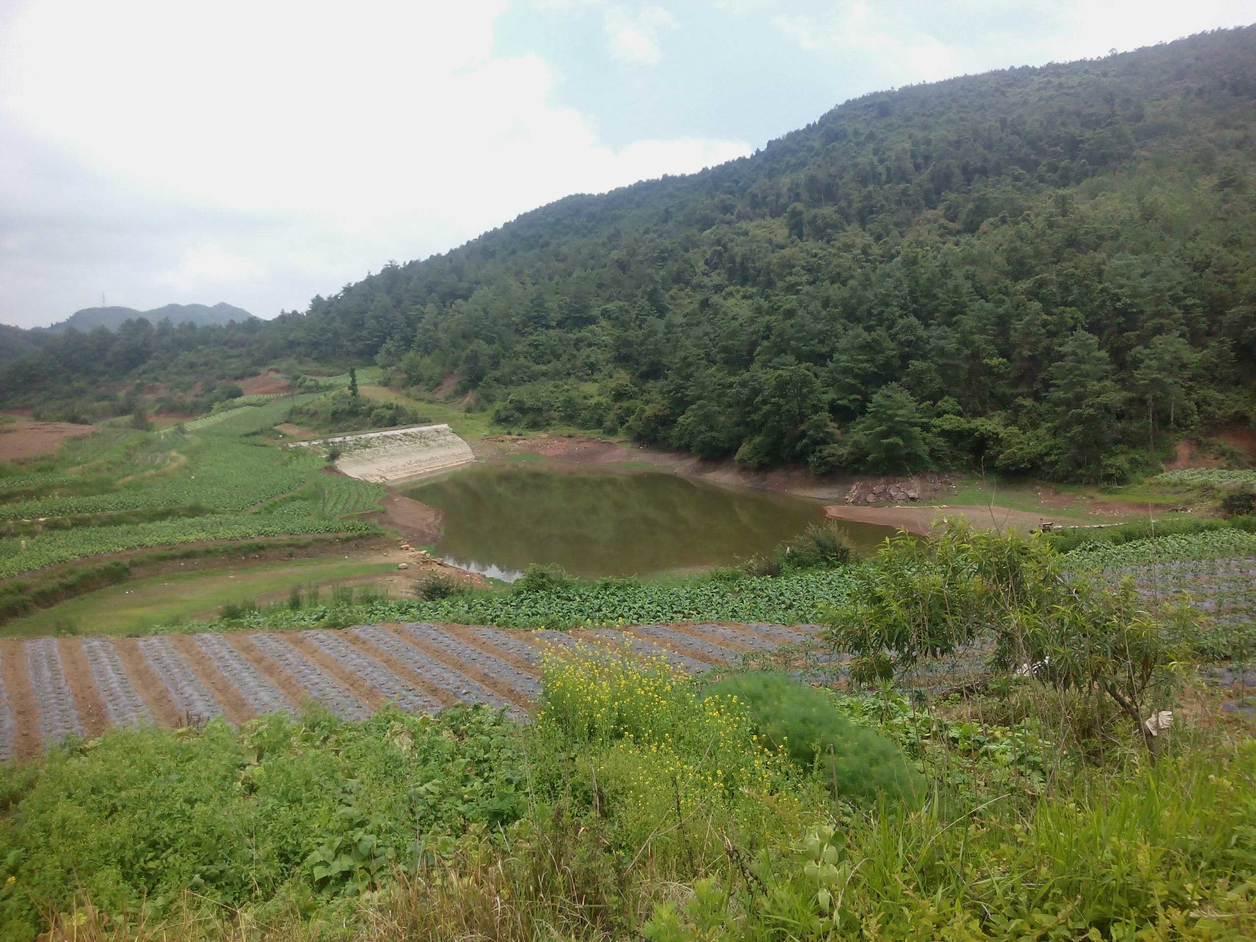 储鱼坝水库