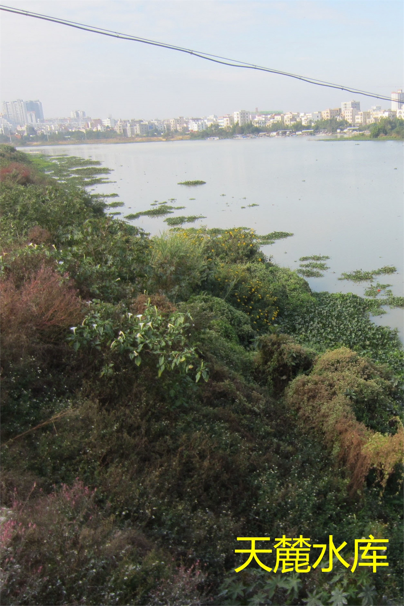 天麓水库