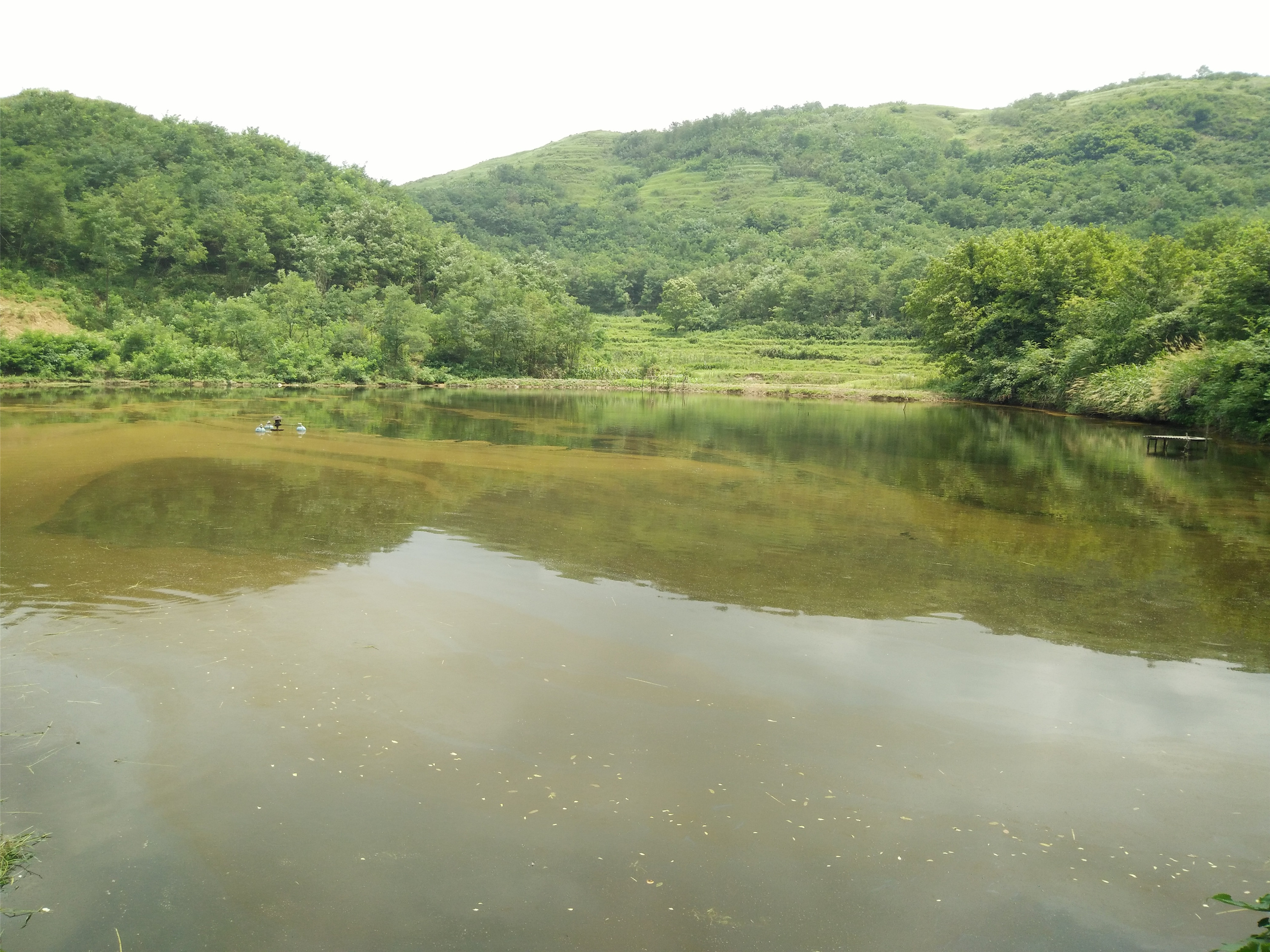 小洪山水库