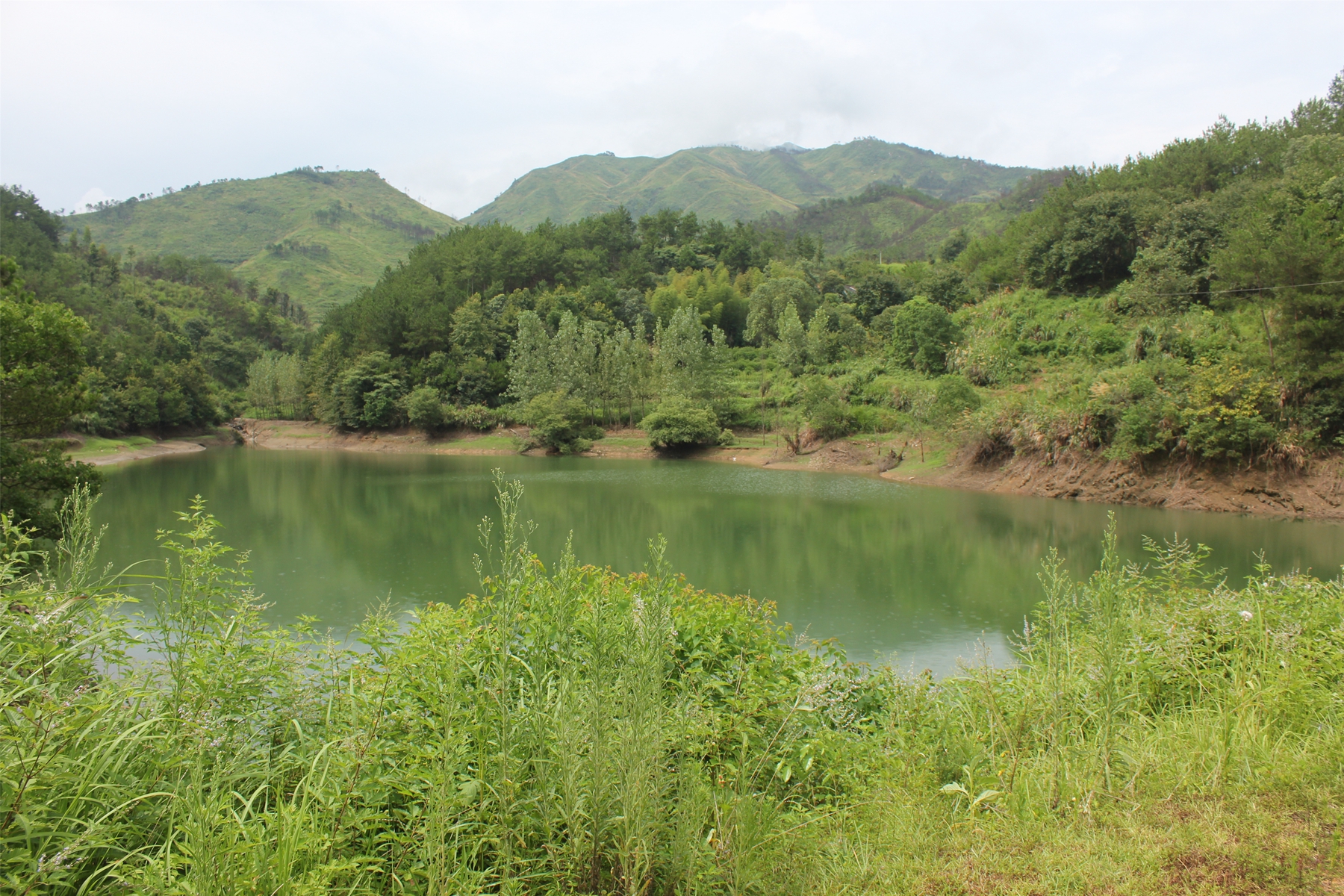 沈冲水库