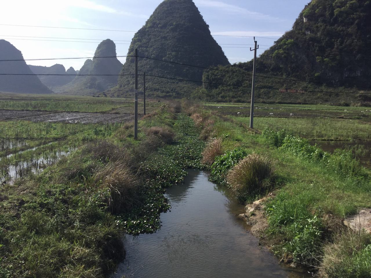 油麻江