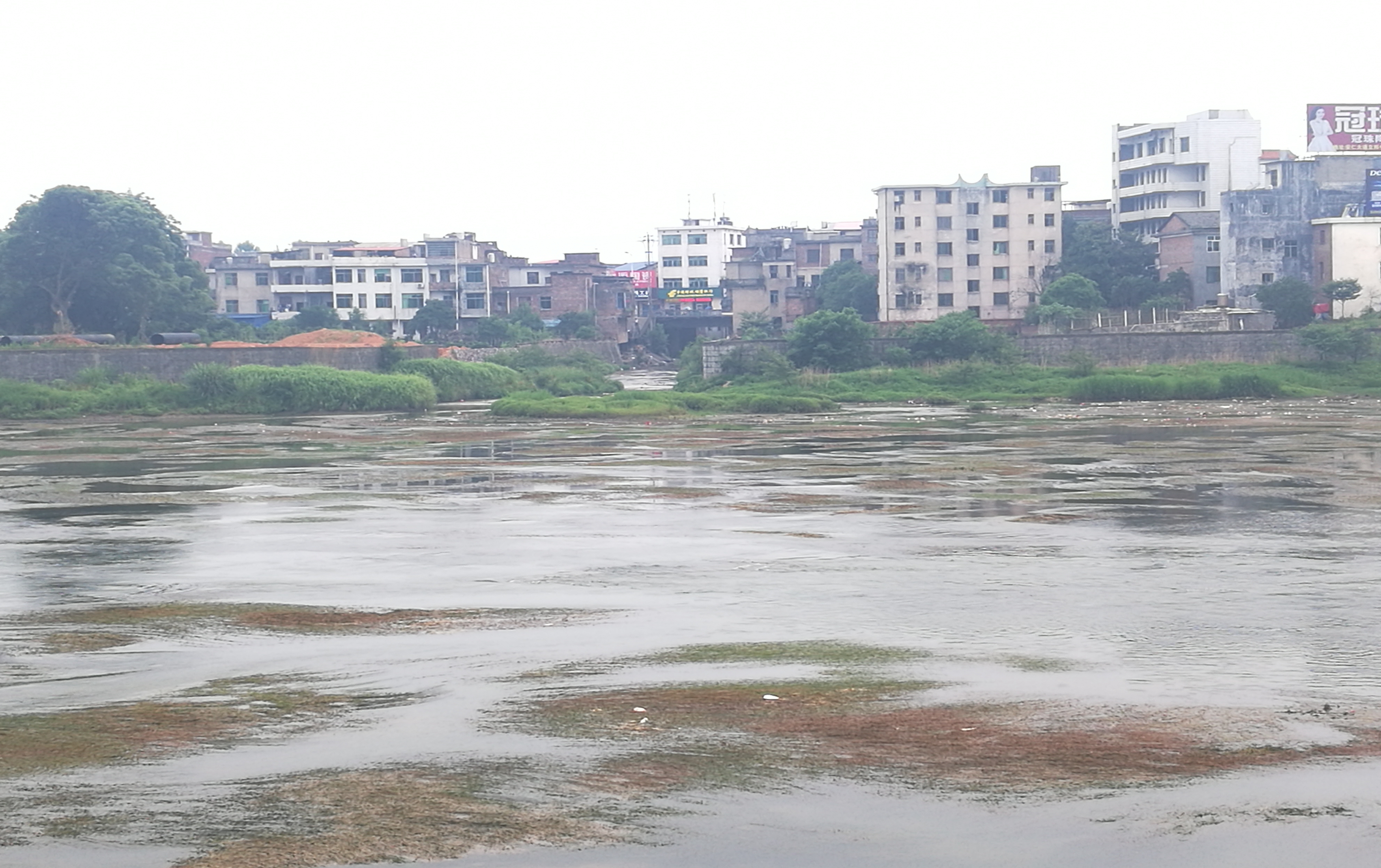 浦阳河口