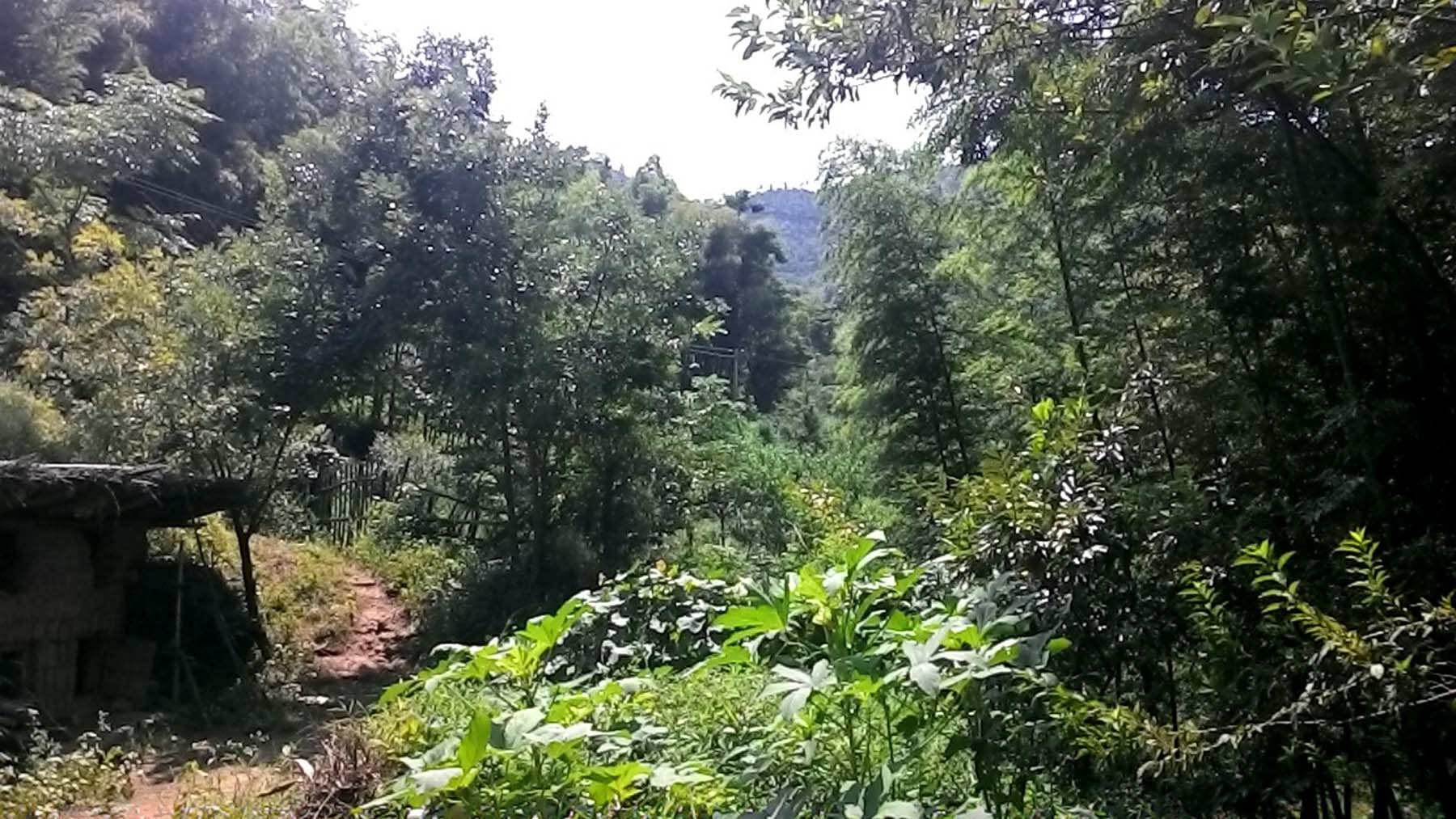 武功山生态旅游区