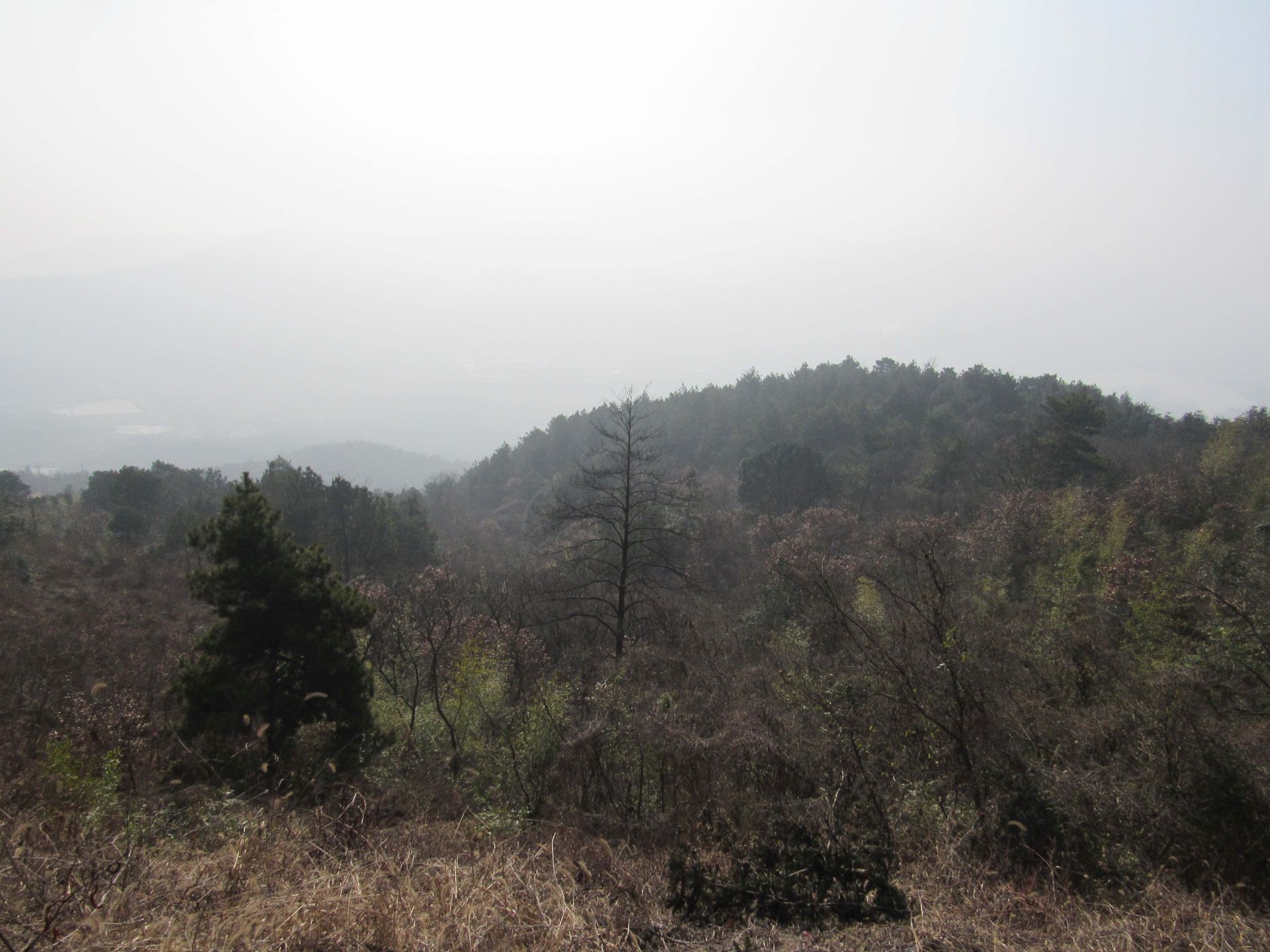 冶父山风景区