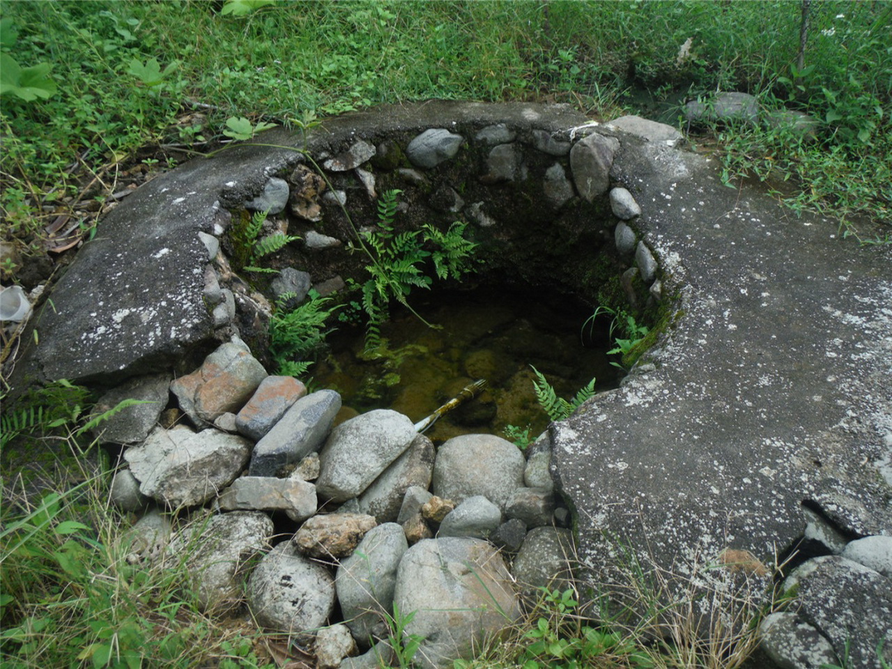 背岭道士泉