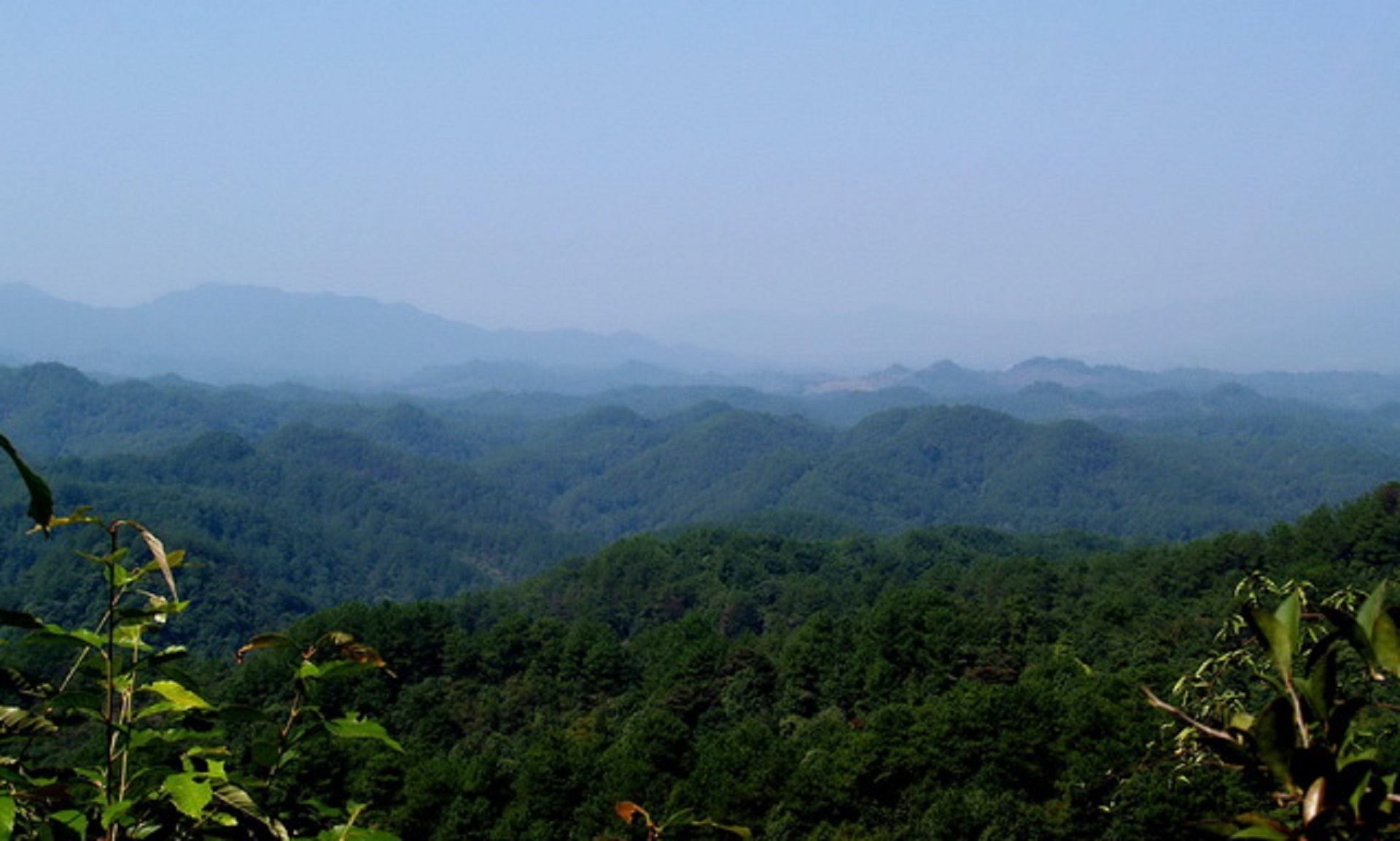 南山省级自然保护区