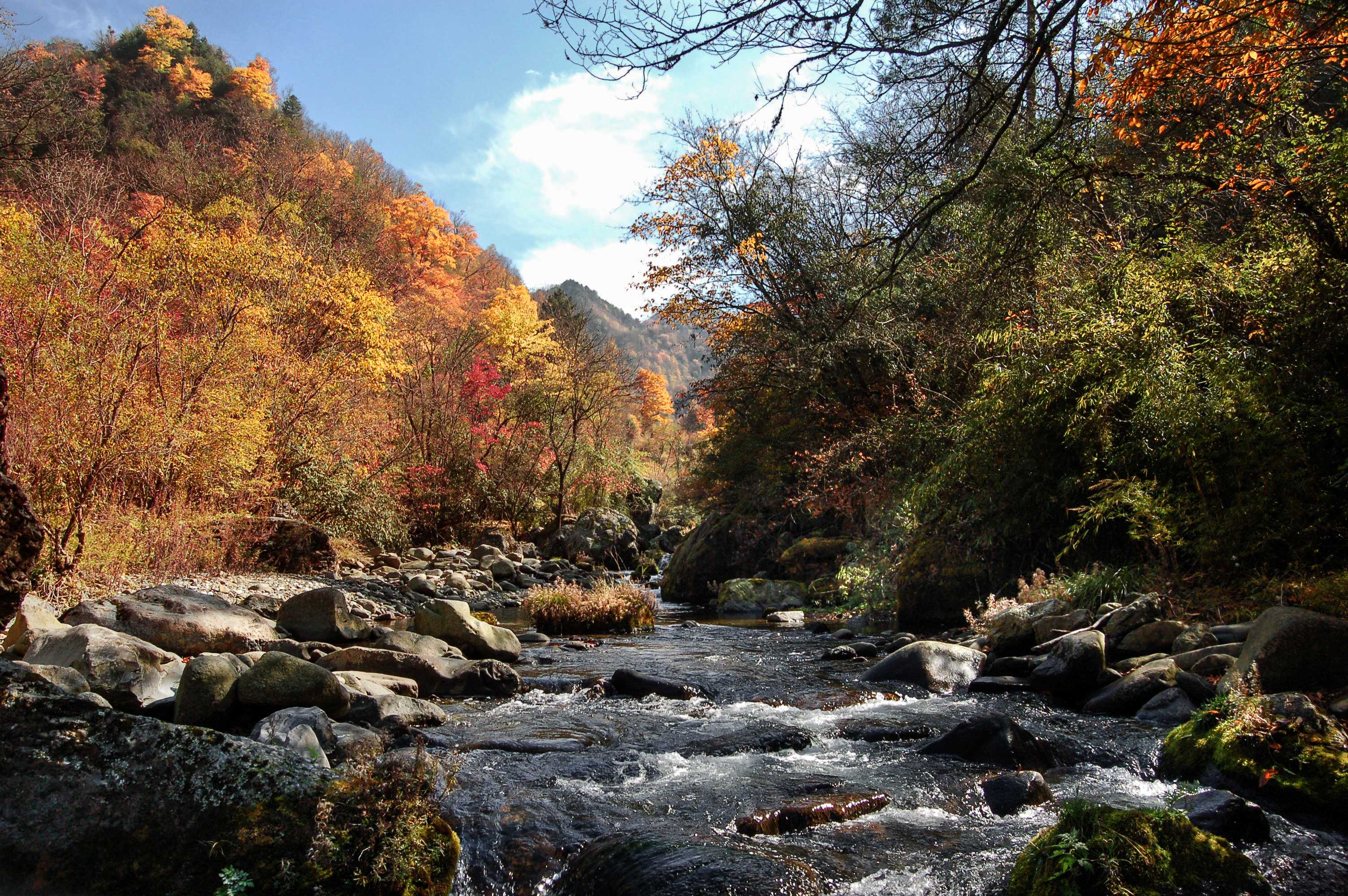 横道河风景区