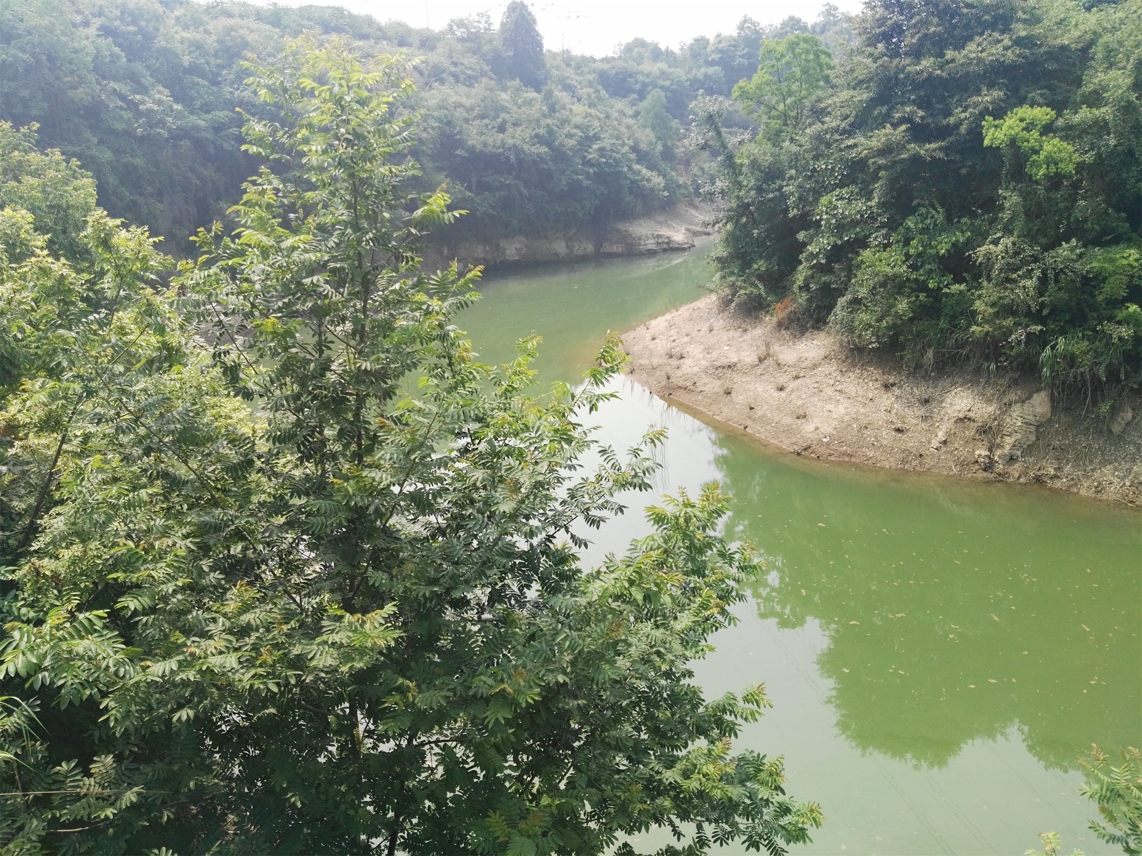 鸭子沟水库