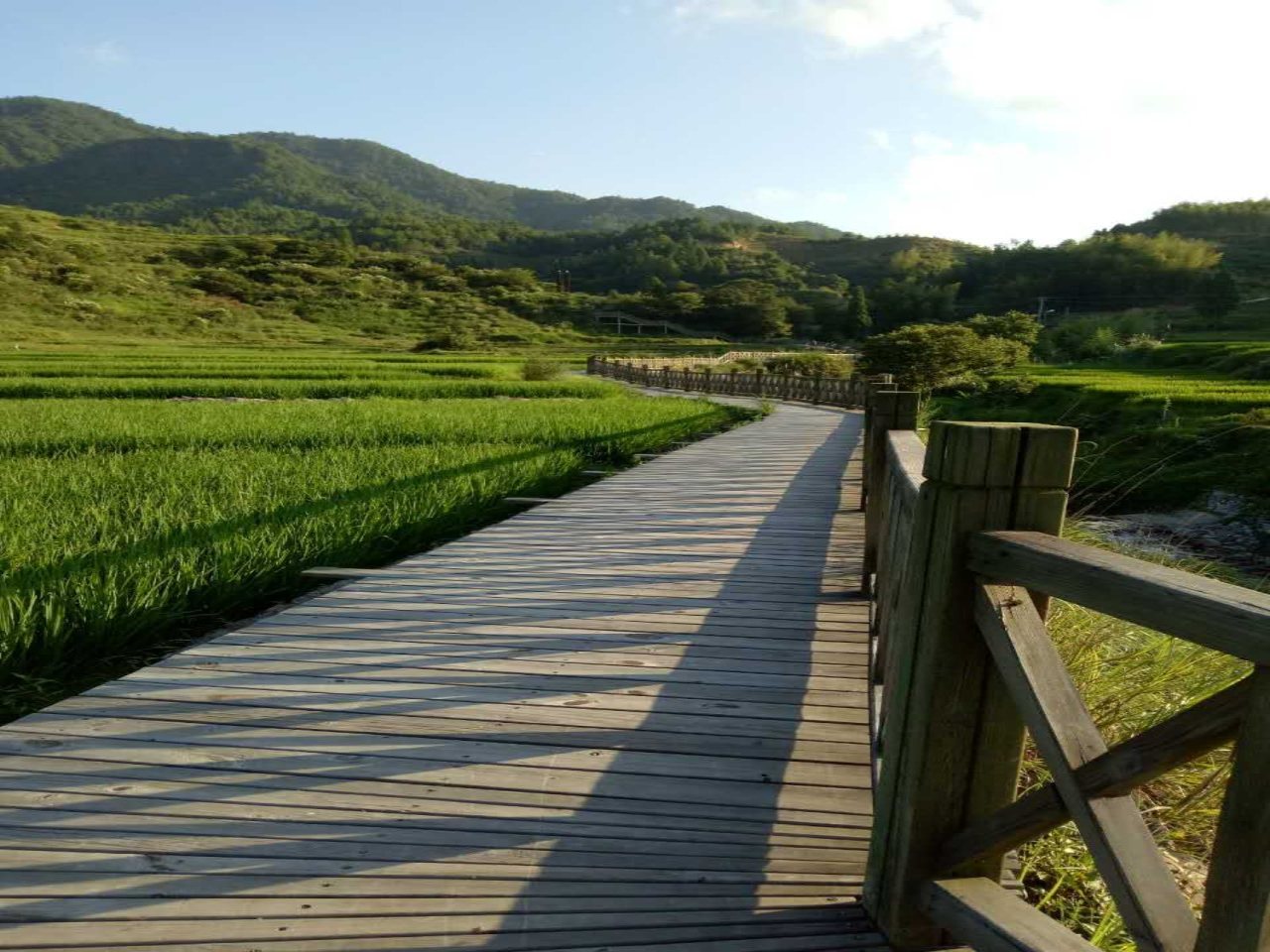 戴云山登山栈道