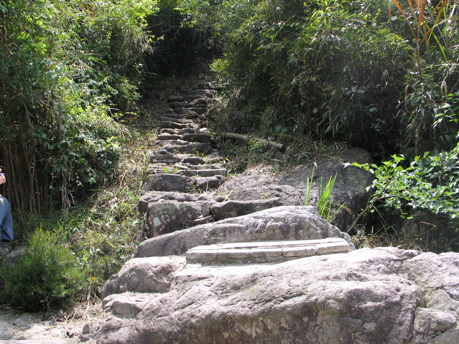 兔耳山古道