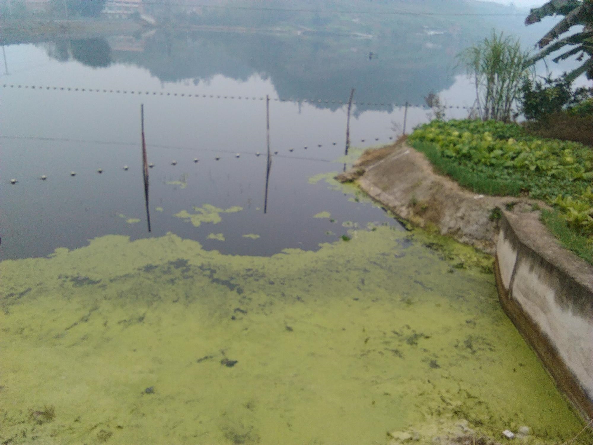 桂花湾水库