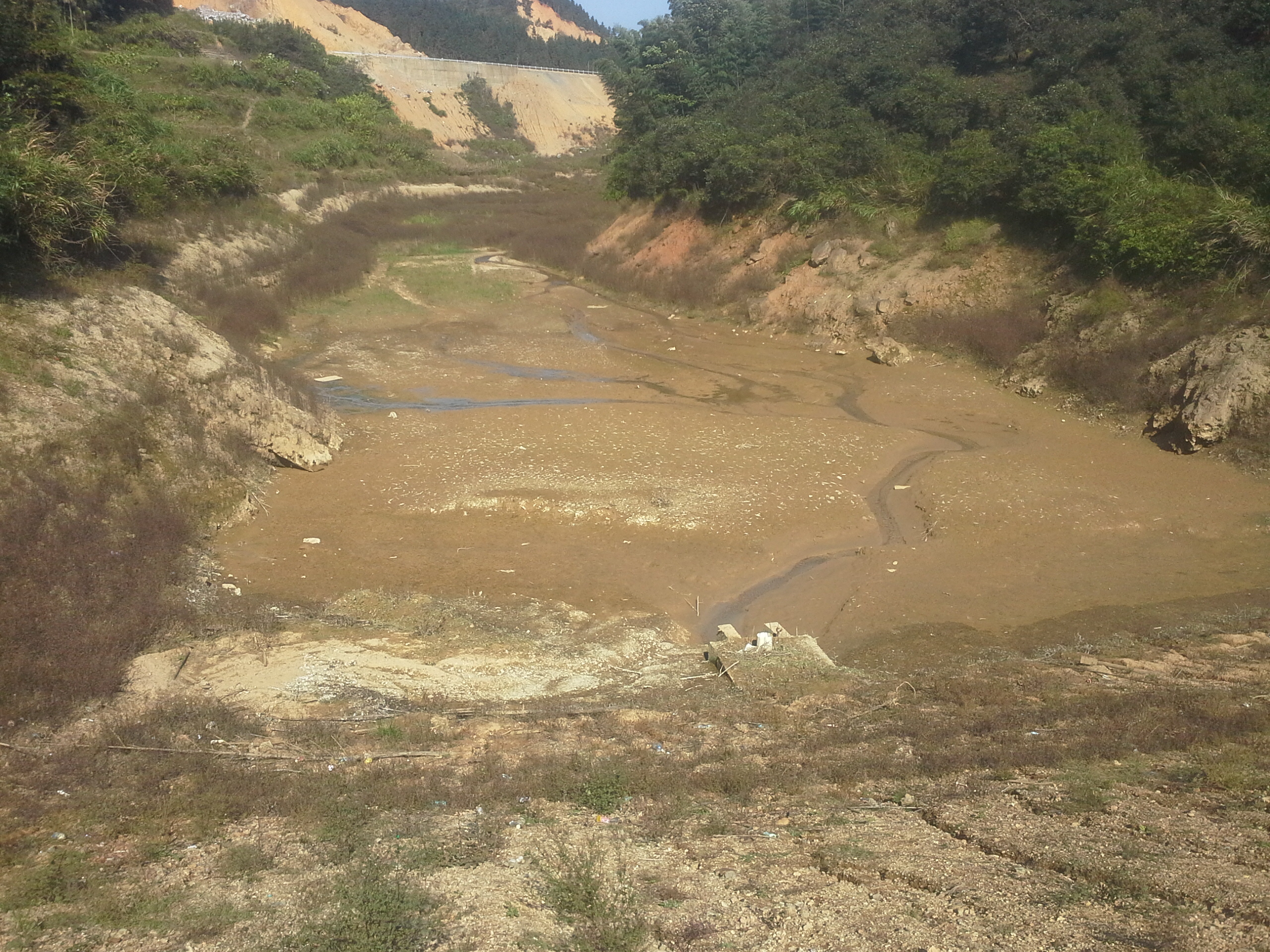 上陂潭水库