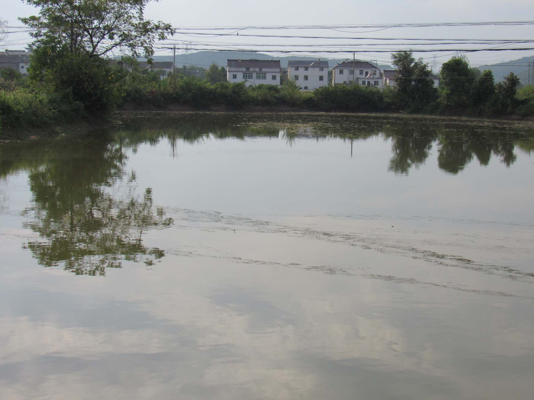 红星水库