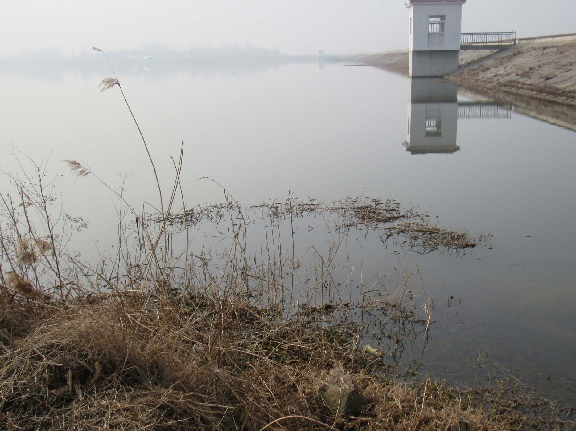 小刘坝水库