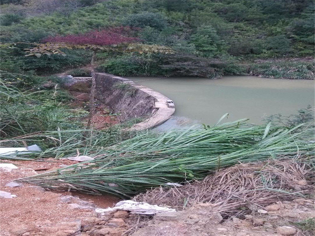 水口水库