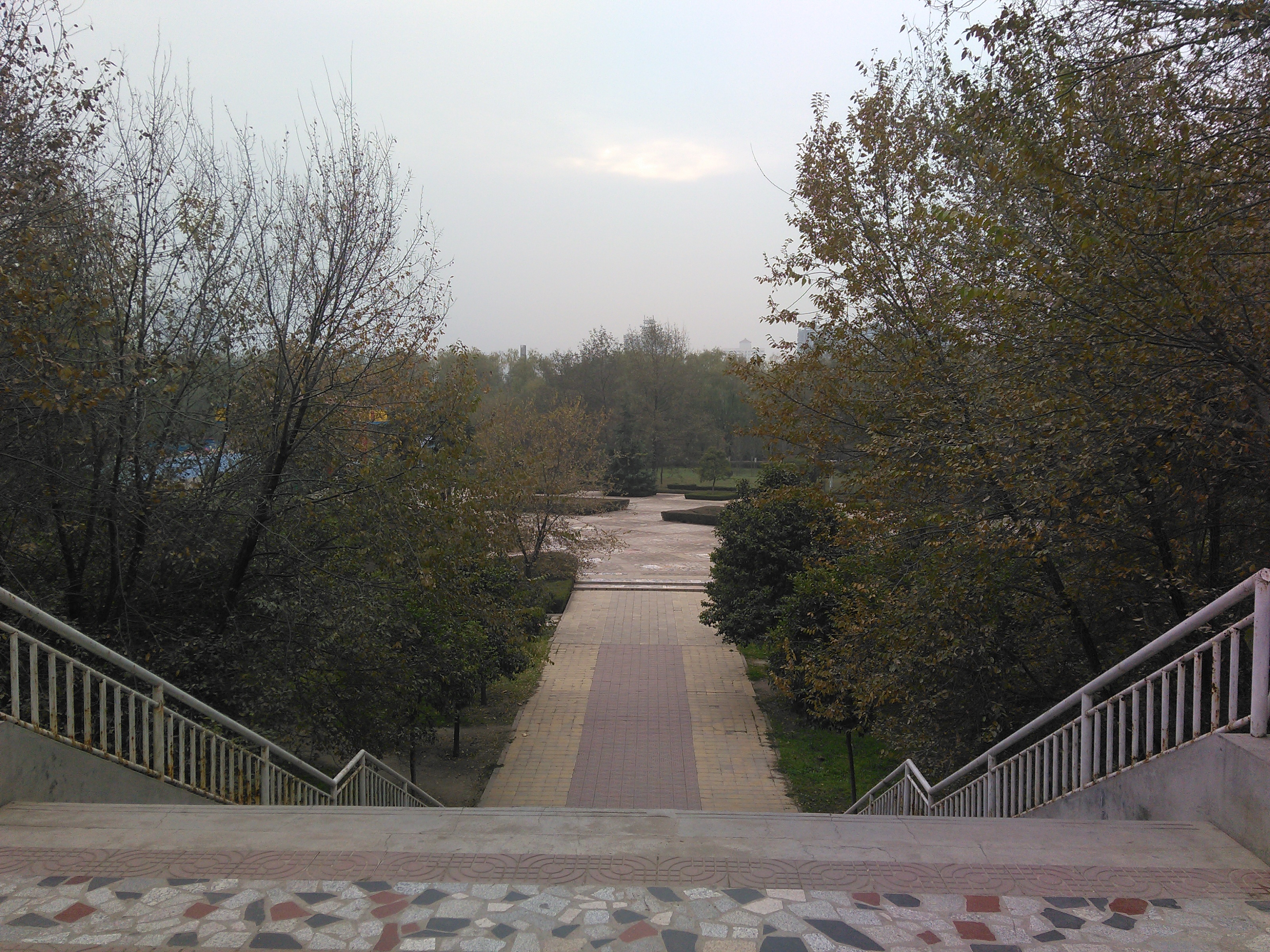 渭河上马营生态公园